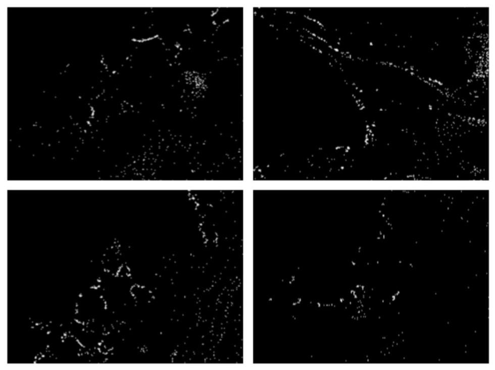 Remotesensing 18 03000 g003 Remotesensing 18 03000 g003