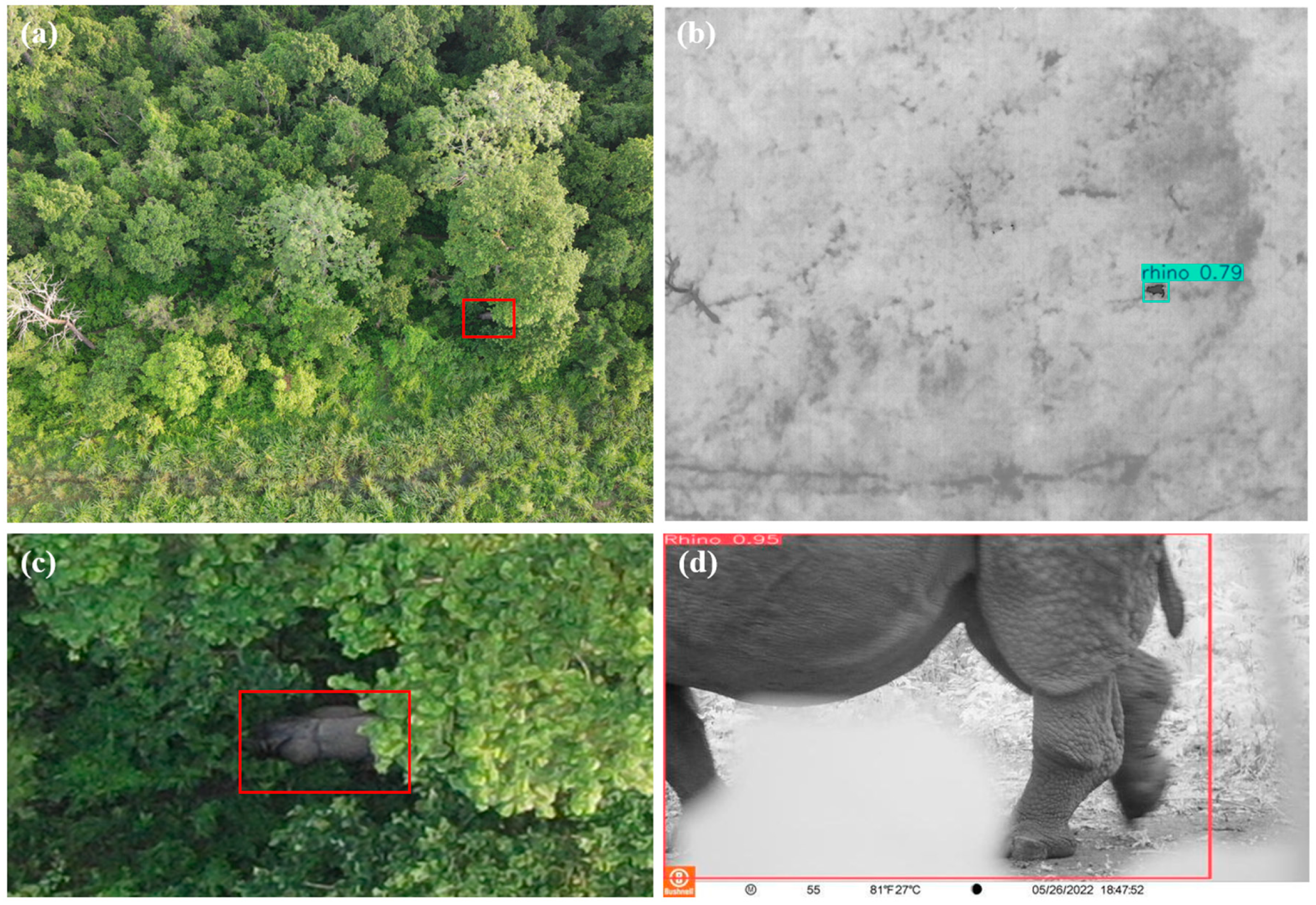 Remotesensing 18 03375 g009 Remotesensing 18 03375 g009