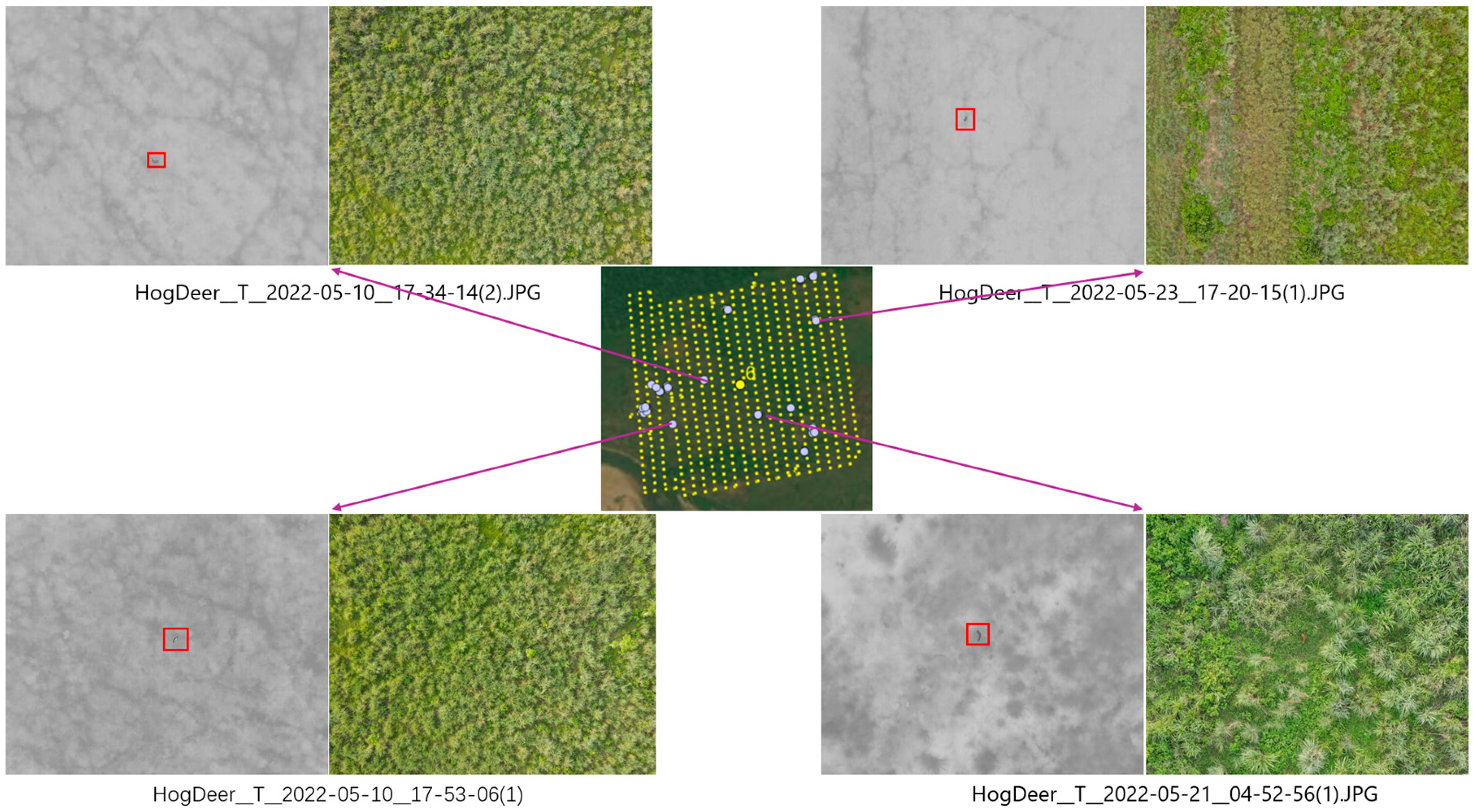 Remotesensing 18 03375 g010 Remotesensing 18 03375 g010
