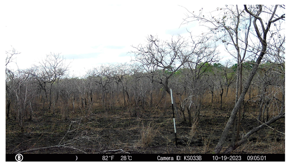 Remotesensing 18 03545 i001
