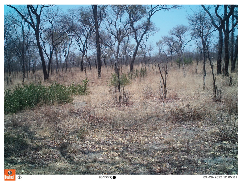 Remotesensing 18 03545 i005