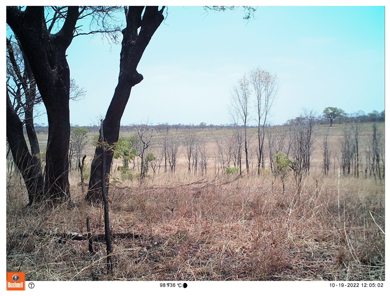 Remotesensing 18 03545 i009