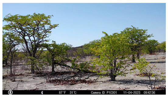 Remotesensing 18 03545 i013
