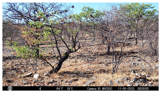 Remotesensing 18 03545 i017