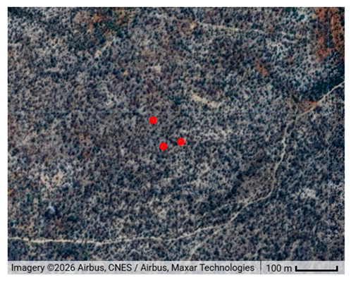 Remotesensing 18 03545 i018
