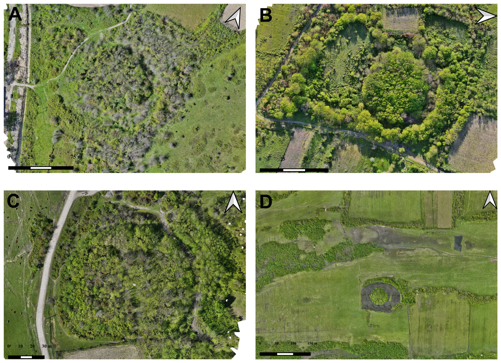 Remotesensing 18 03590 g004 Remotesensing 18 03590 g004