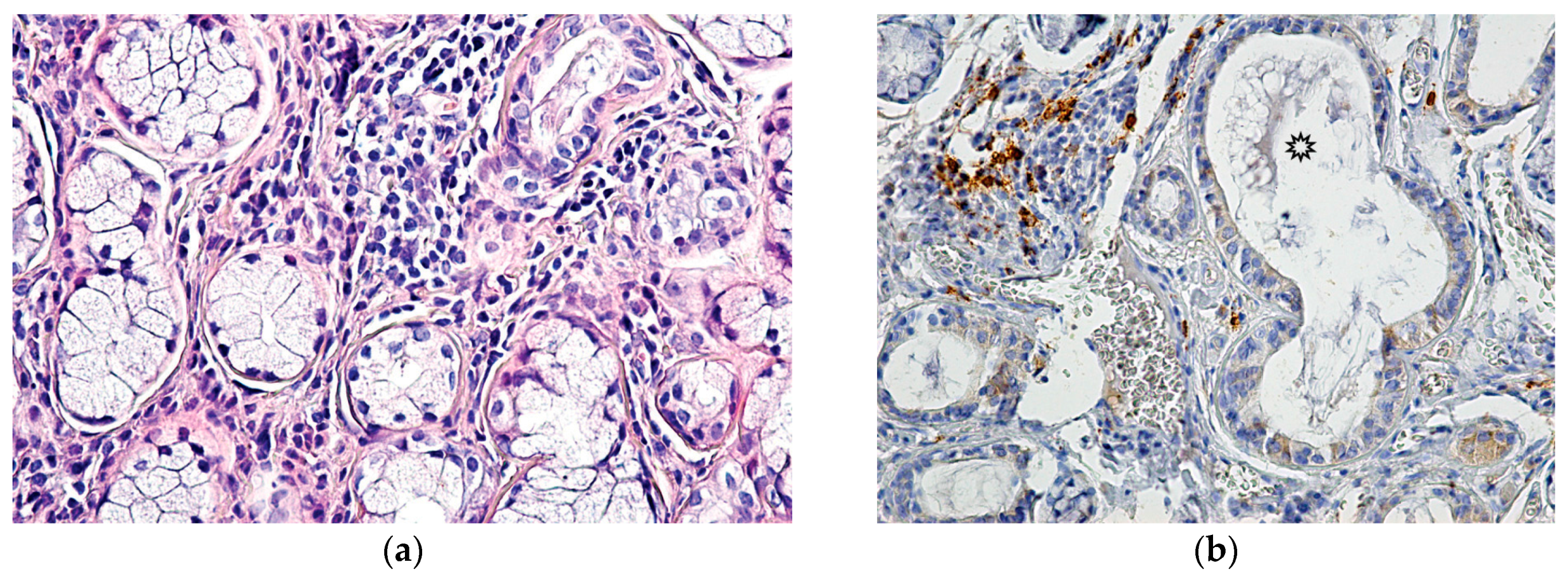 Reports 01 00003 g002