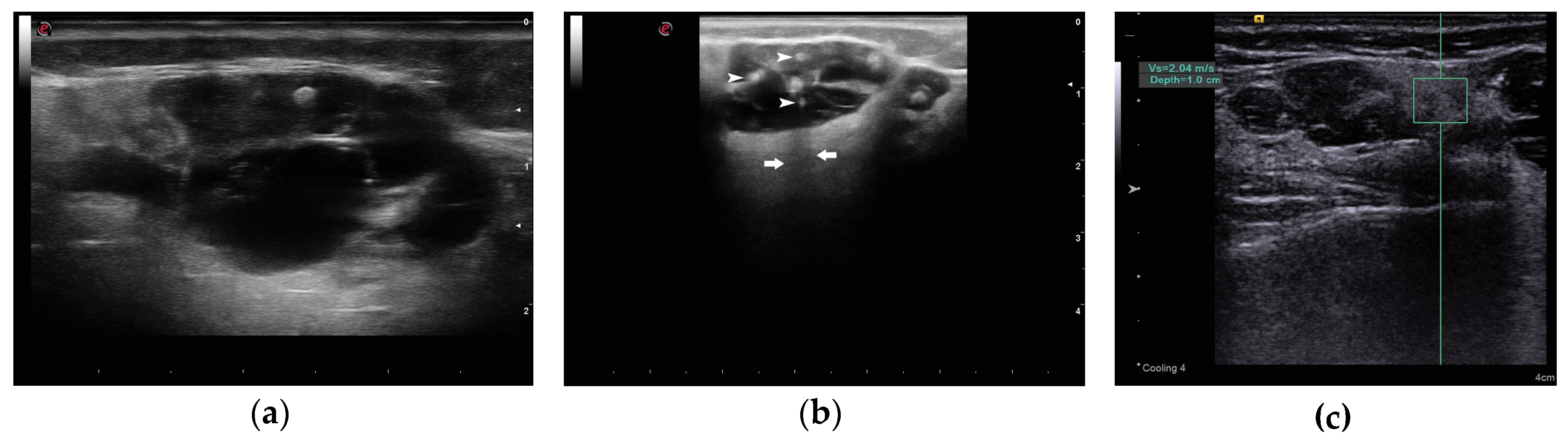 Reports 01 00003 g004