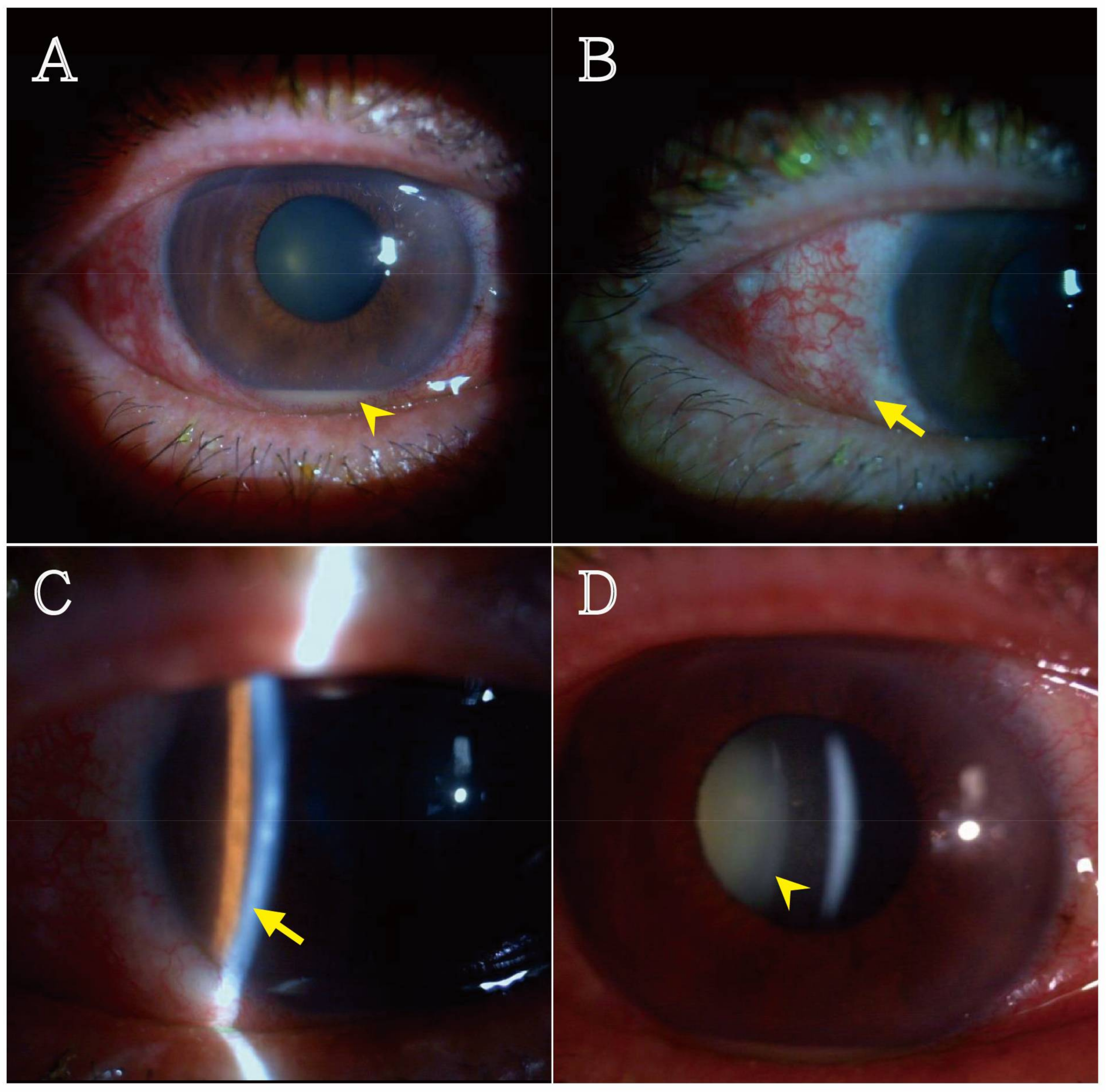 Reports 01 00007 g001