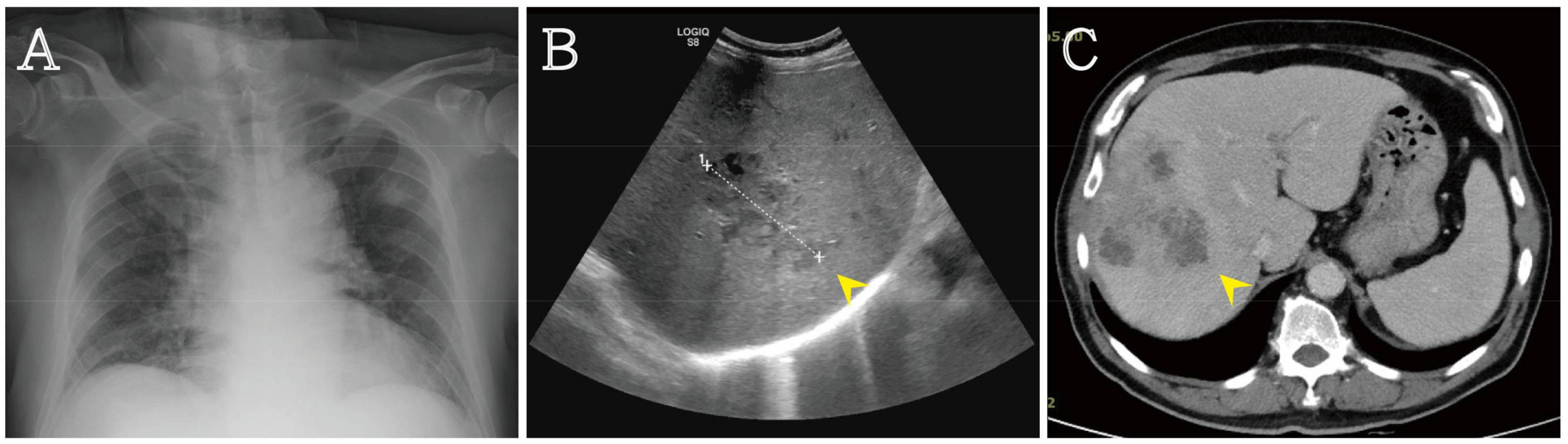 Reports 01 00007 g002