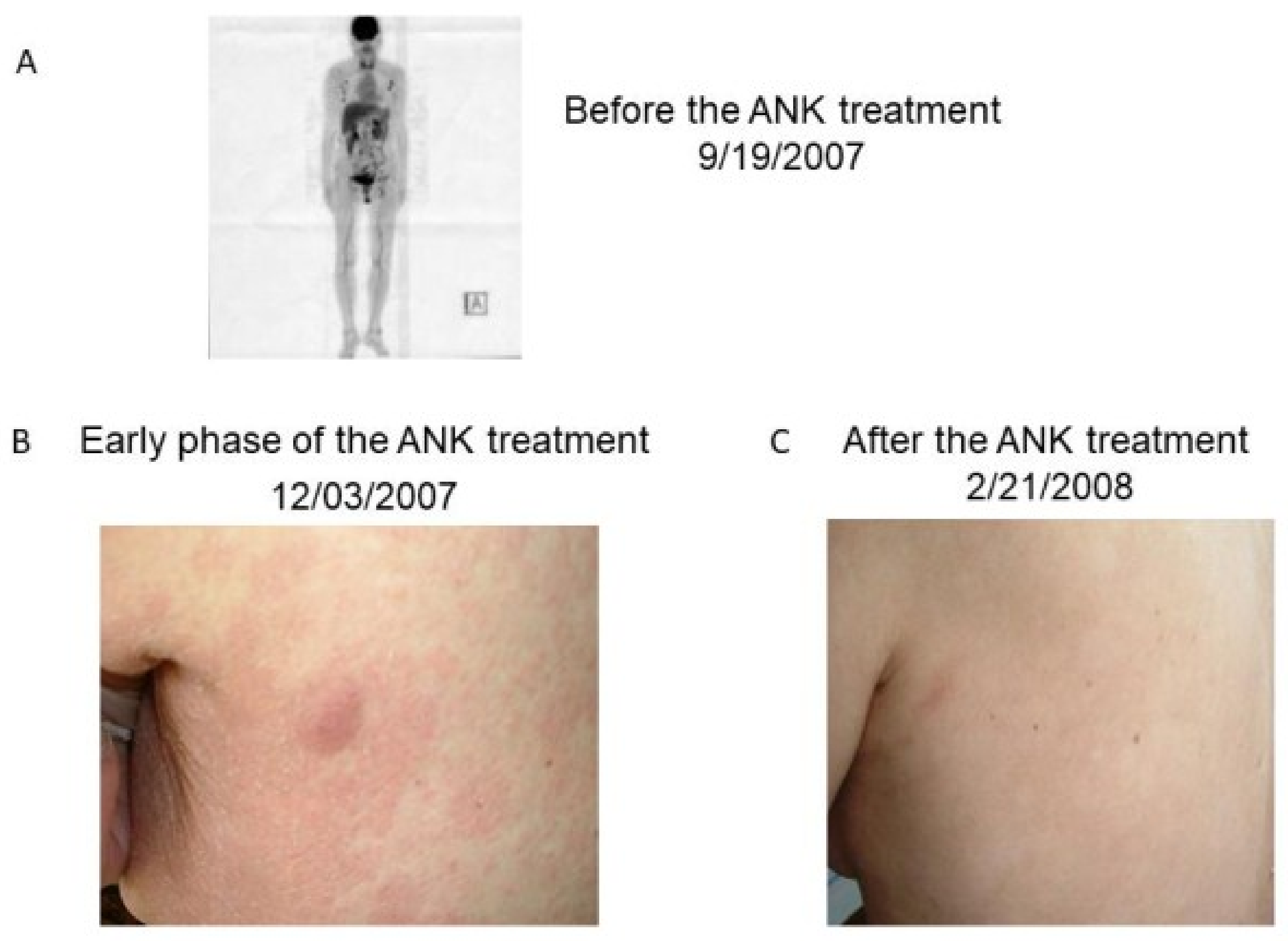 Reports 01 00013 g002