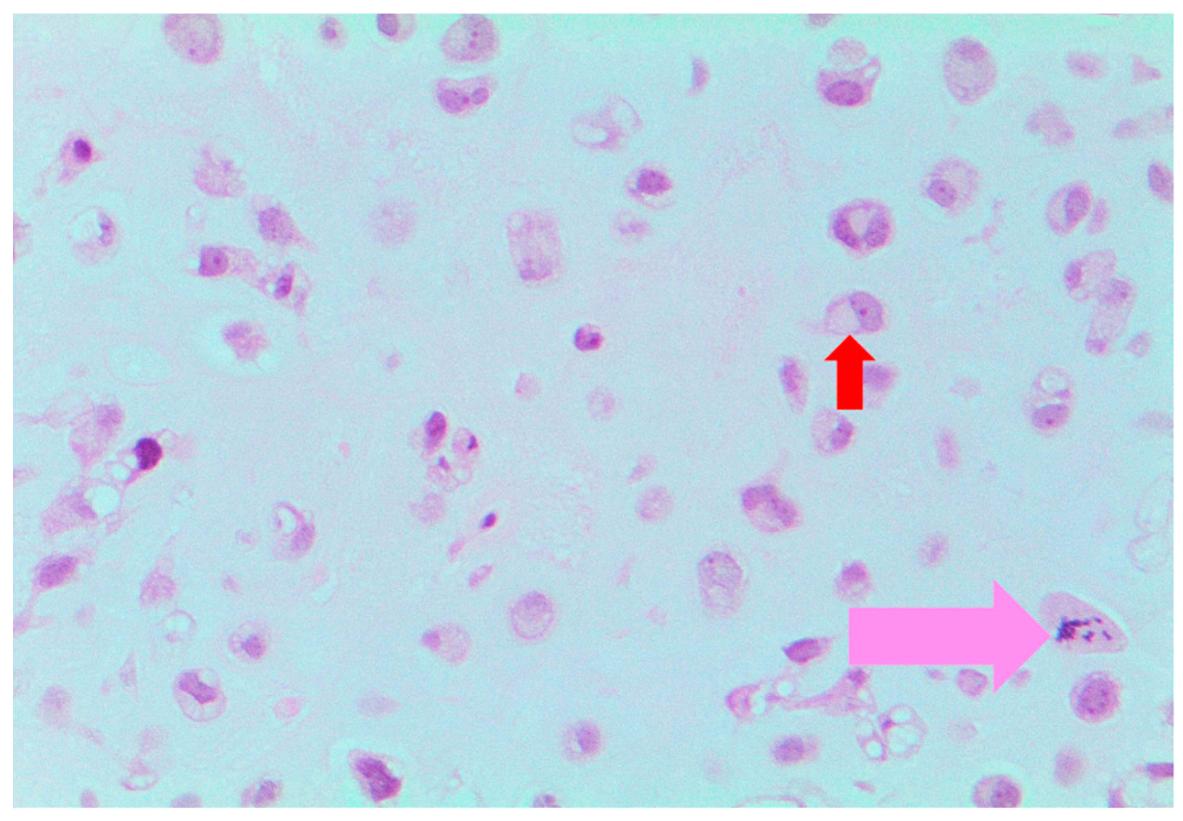 Reports 01 00023 g002