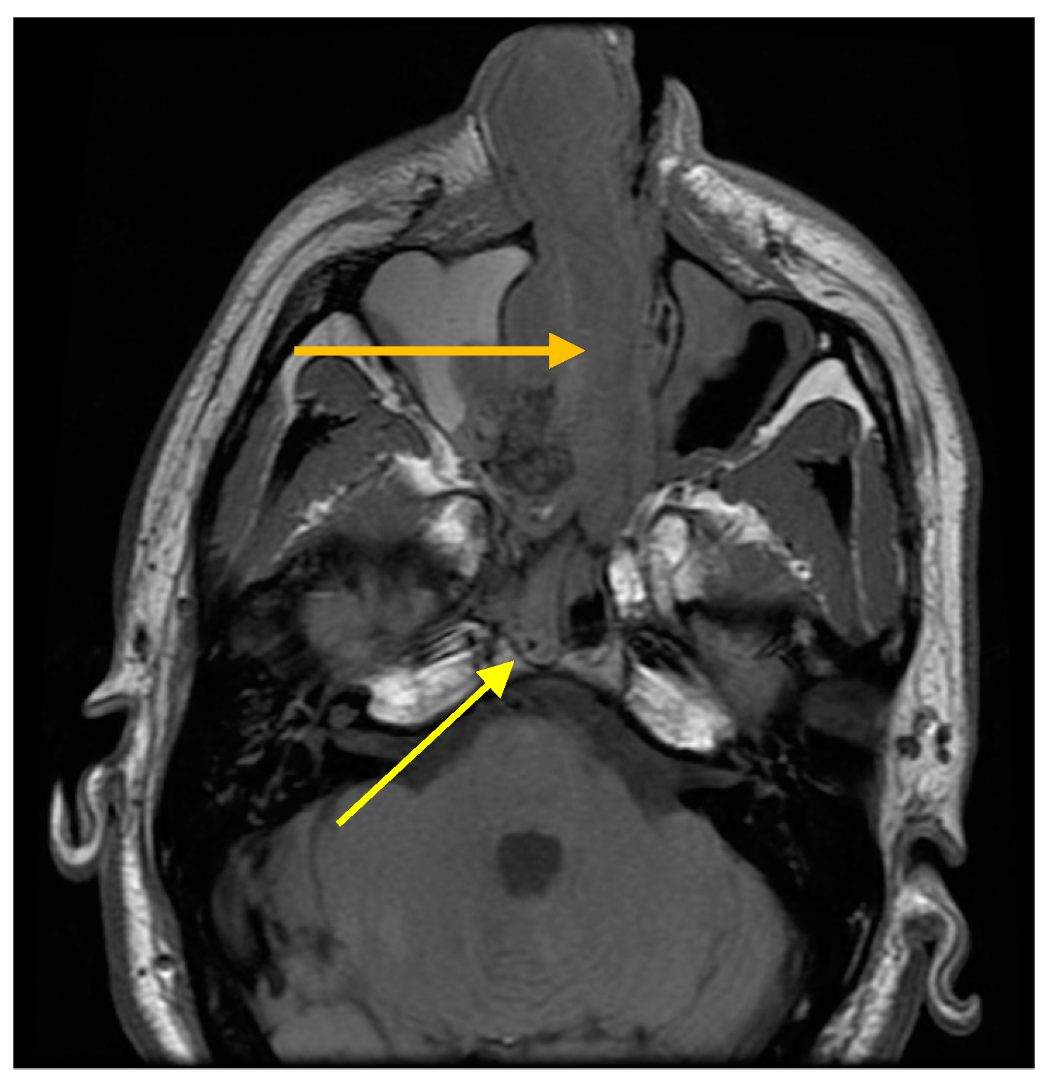 Reports 01 00023 g004