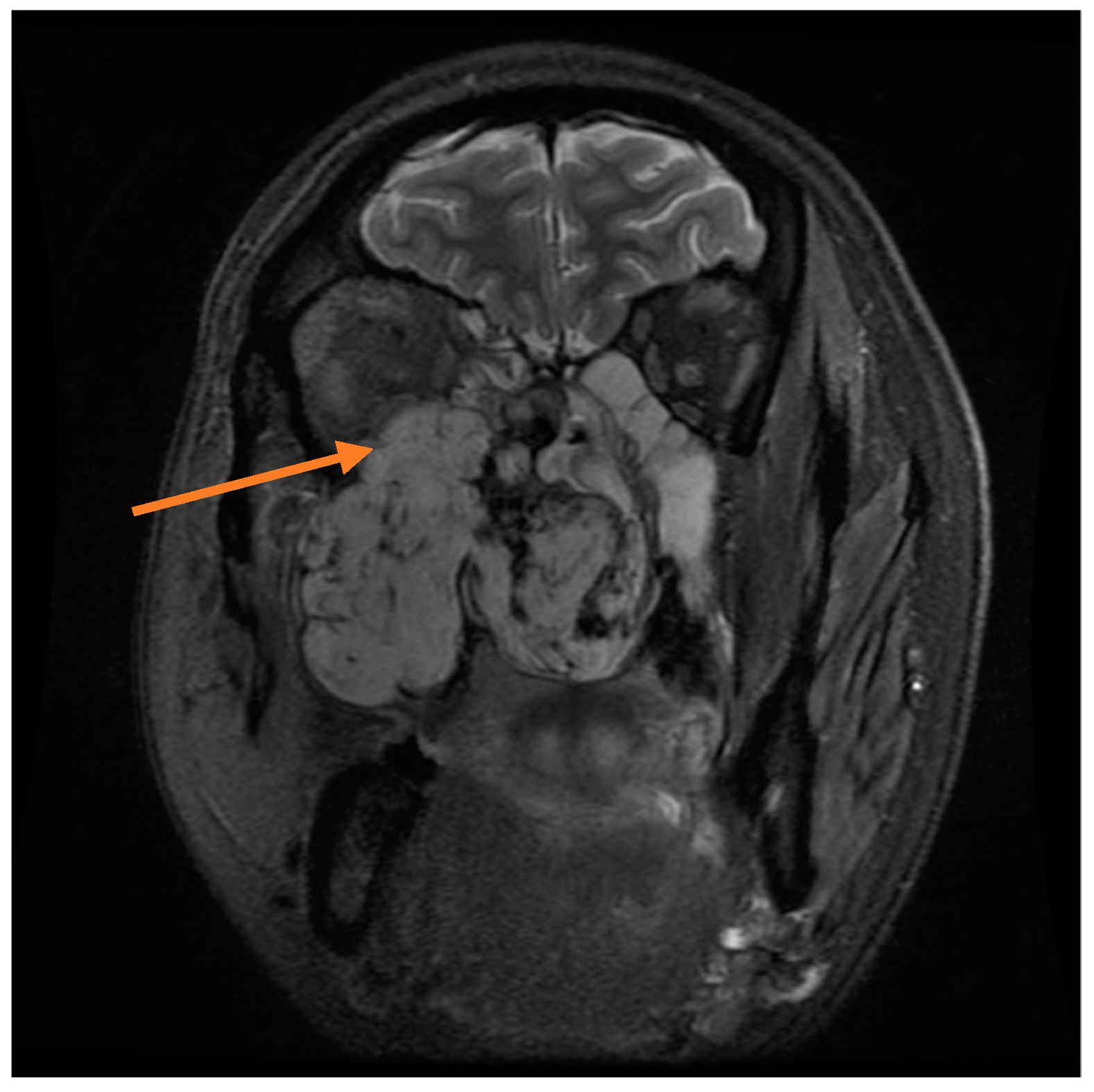 Reports 01 00023 g005