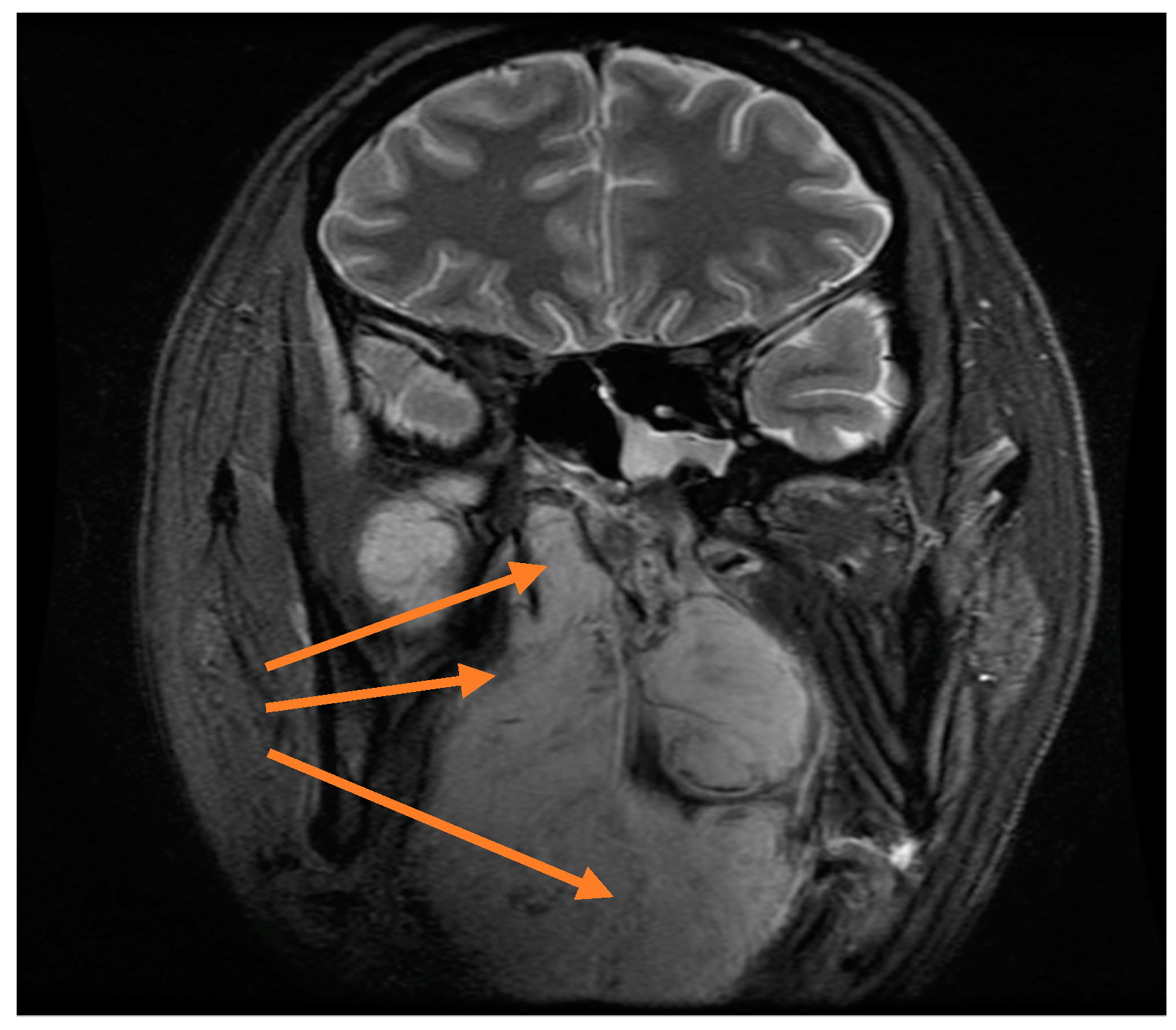 Reports 01 00023 g006