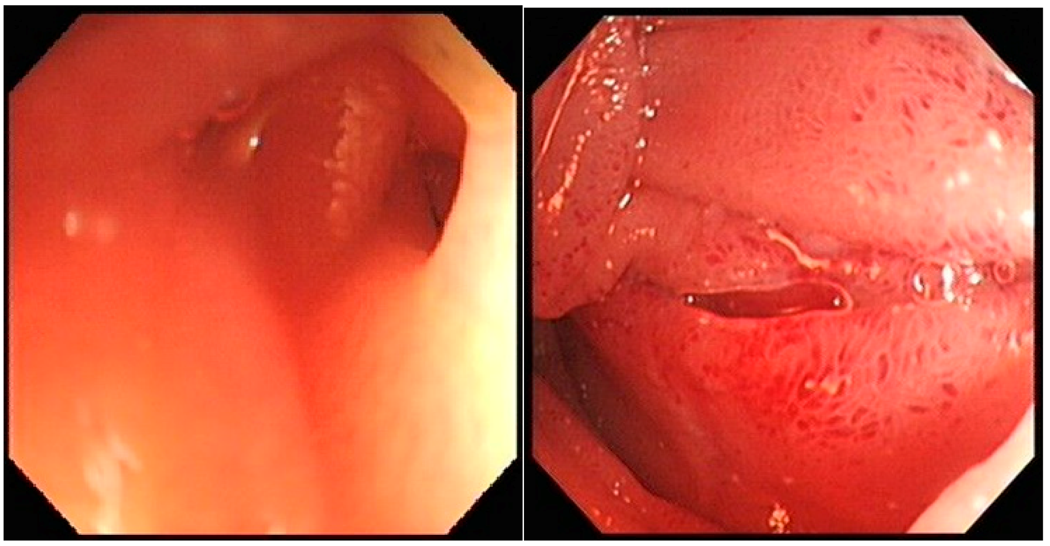 Reports 02 00002 g001