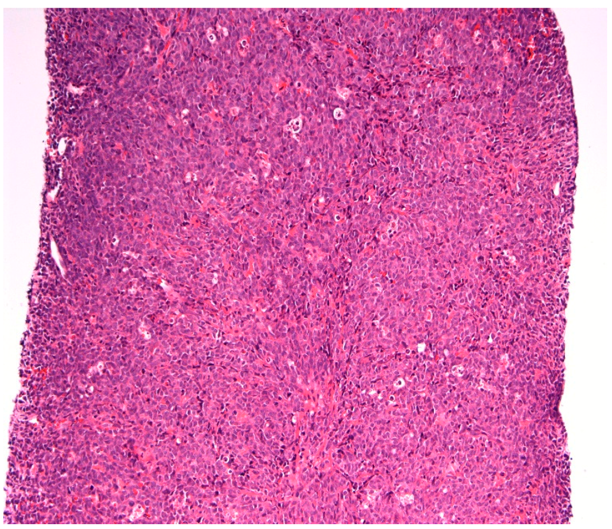 Reports 02 00002 g004