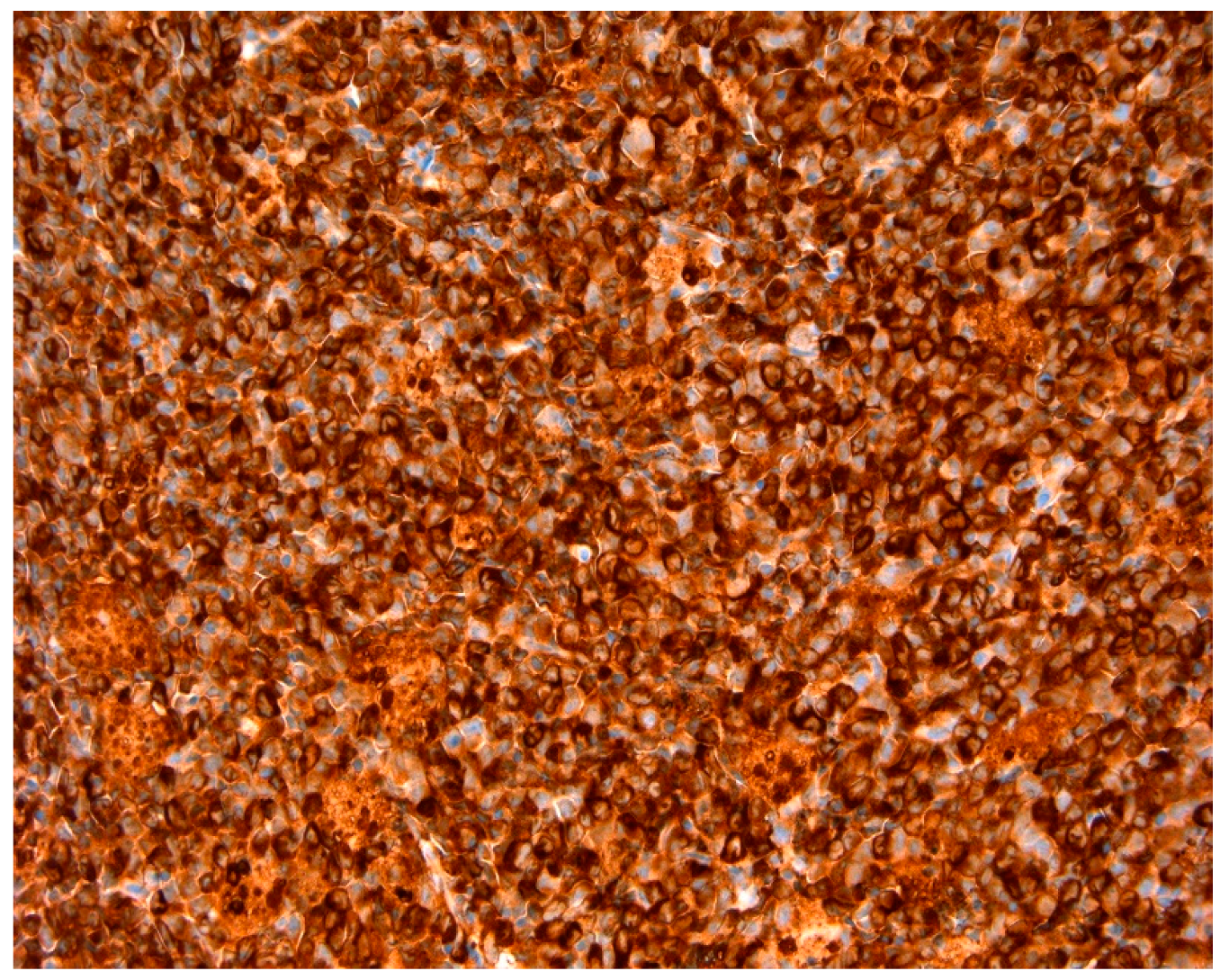 Reports 02 00002 g006