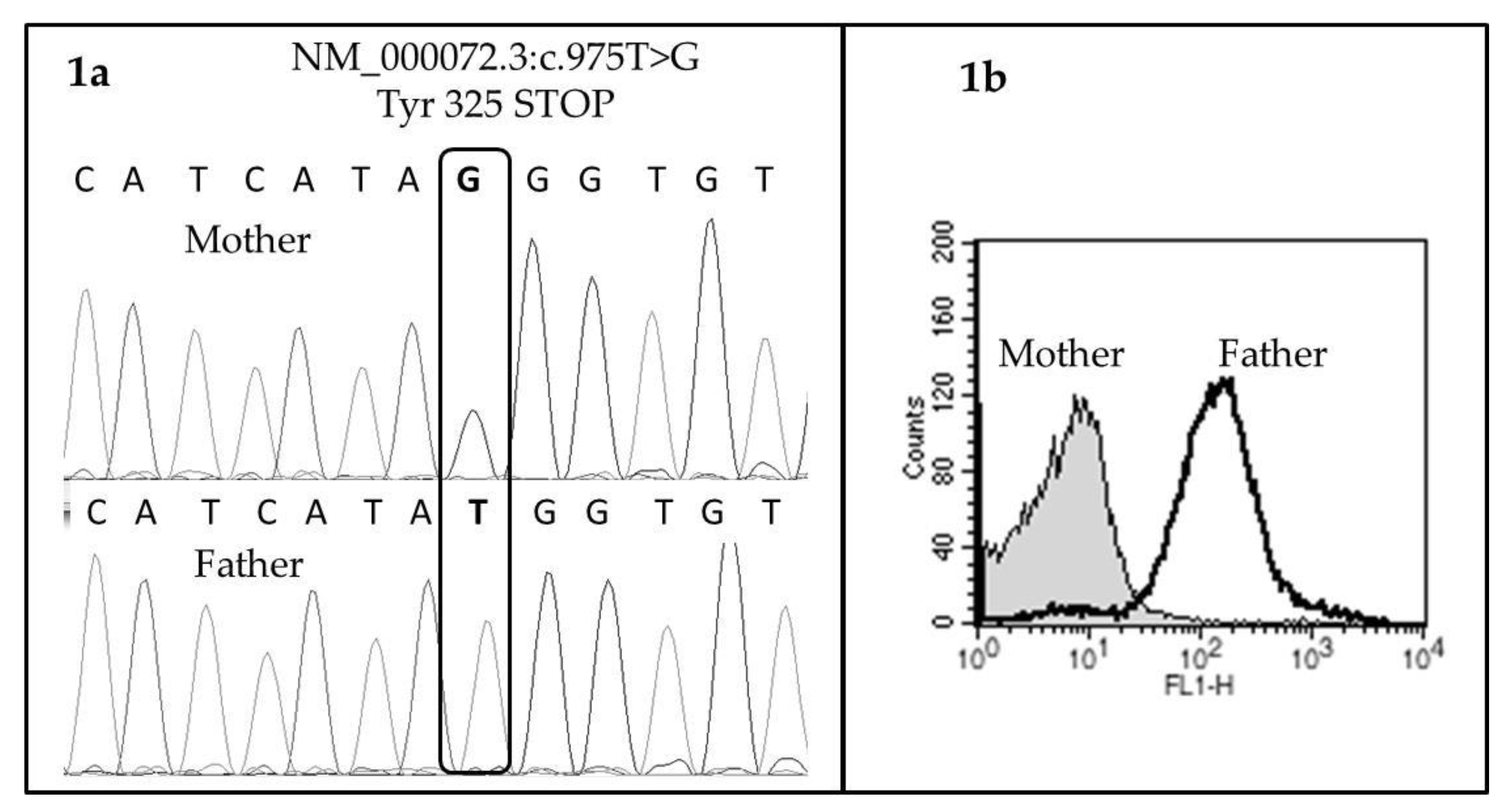 Reports 02 00007 g001