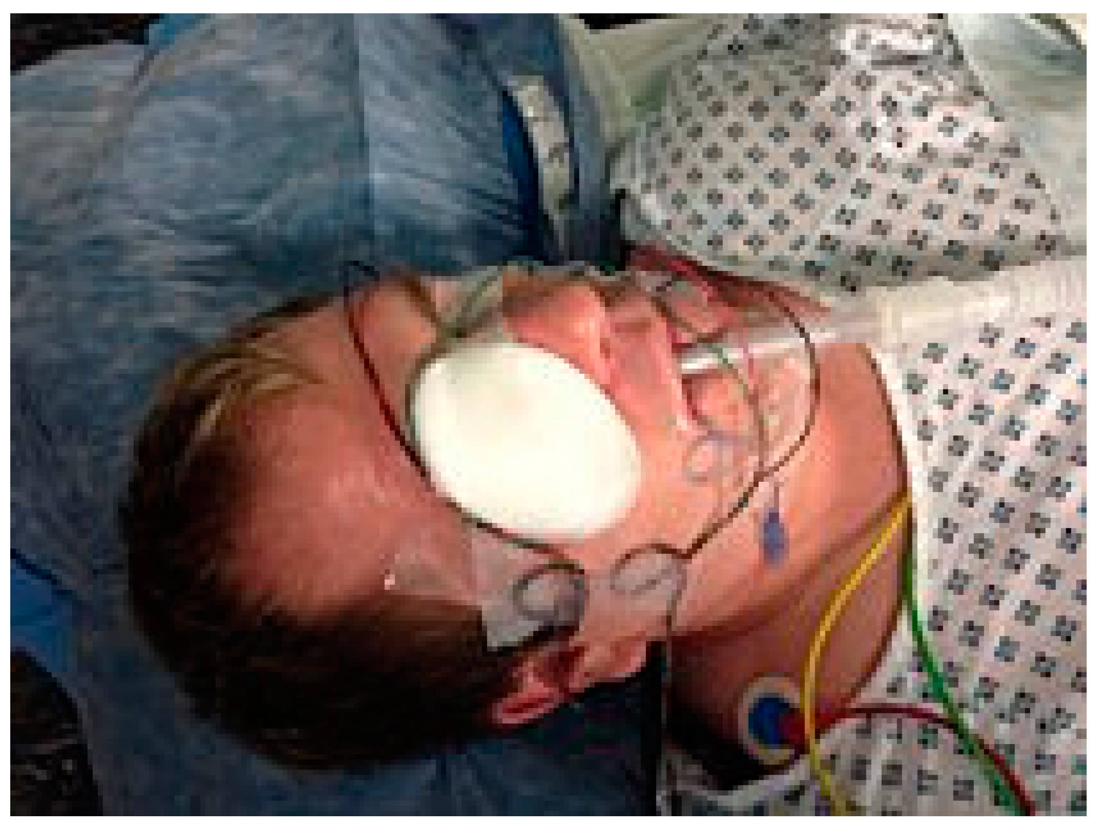 Reports 02 00009 g001