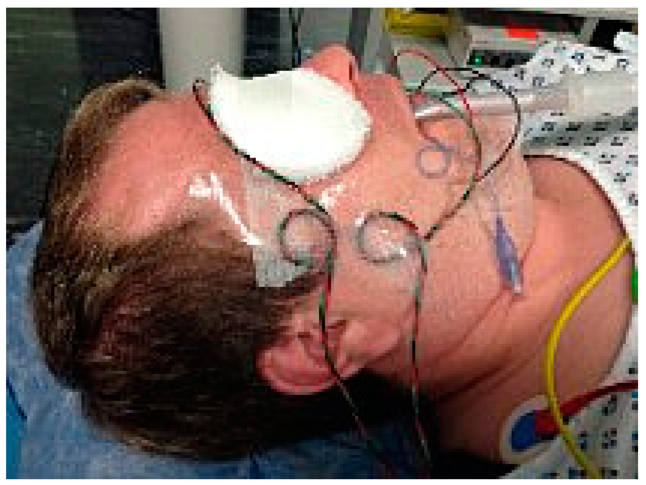 Reports 02 00009 g002