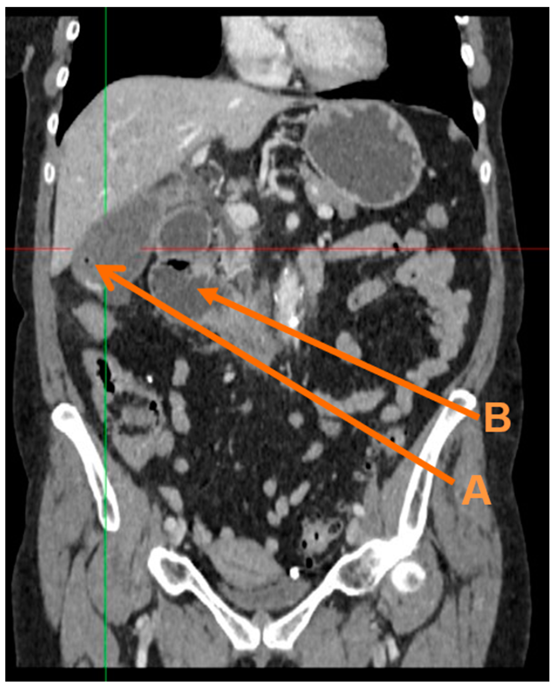 Reports 02 00011 g001