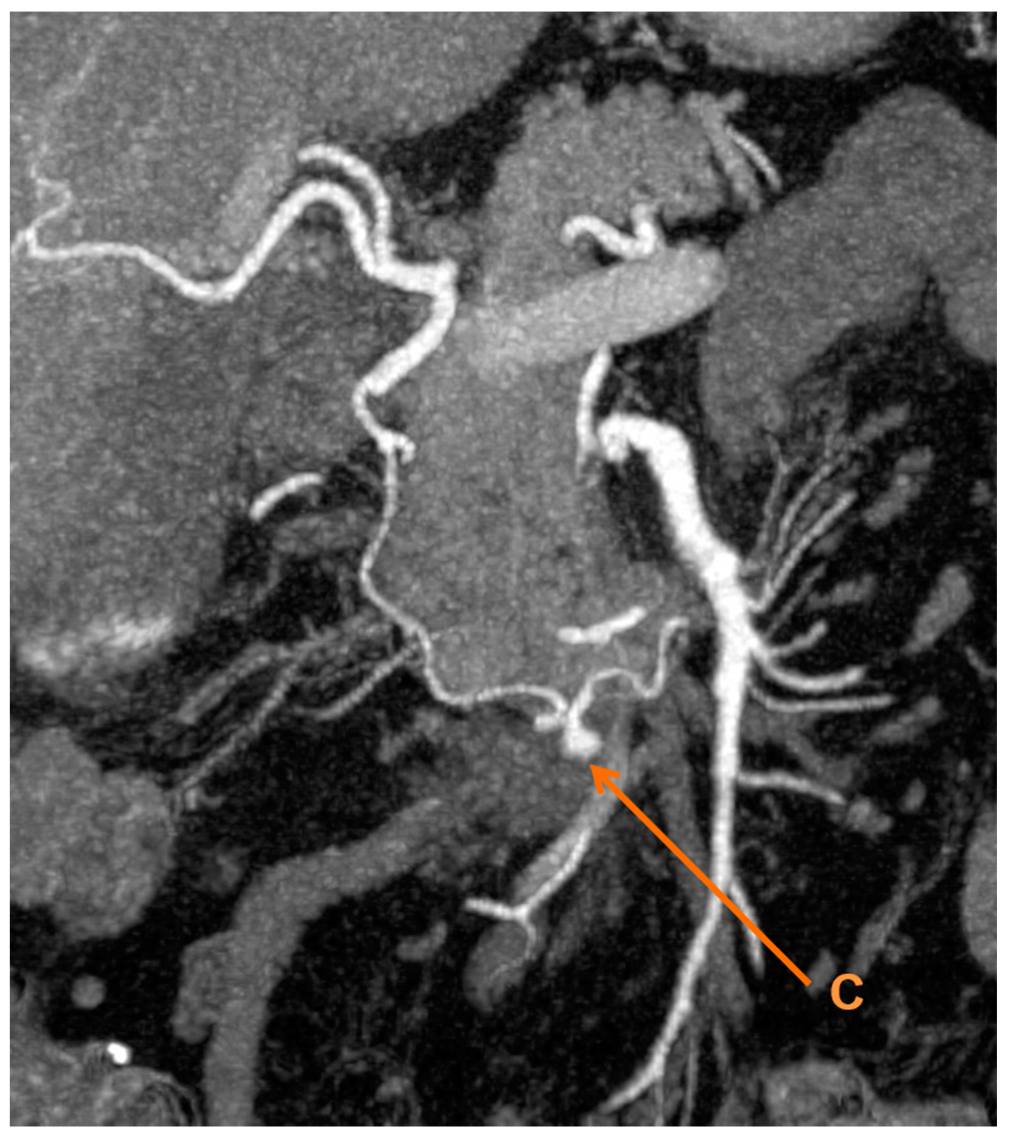 Reports 02 00011 g002