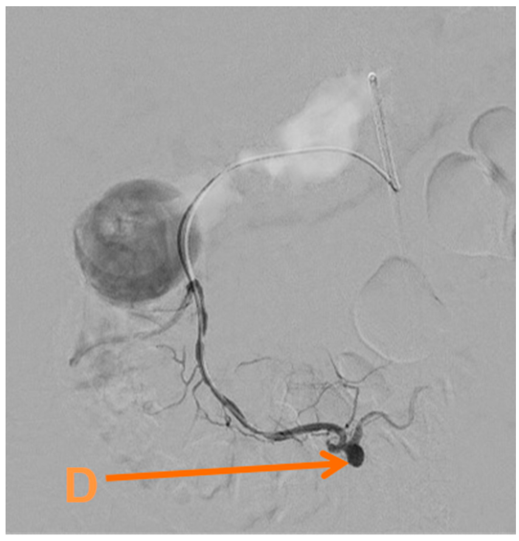 Reports 02 00011 g003