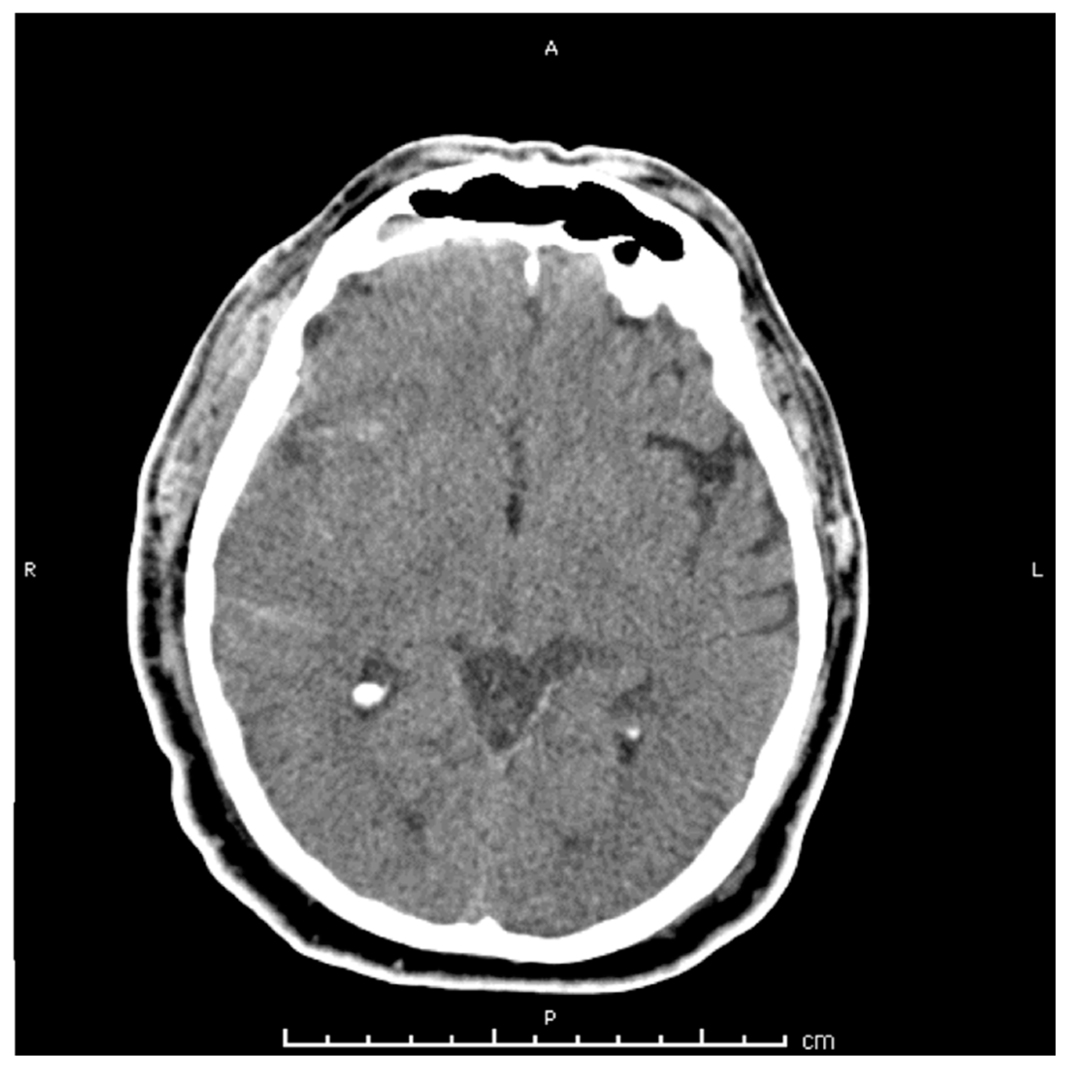 Reports 02 00014 g001