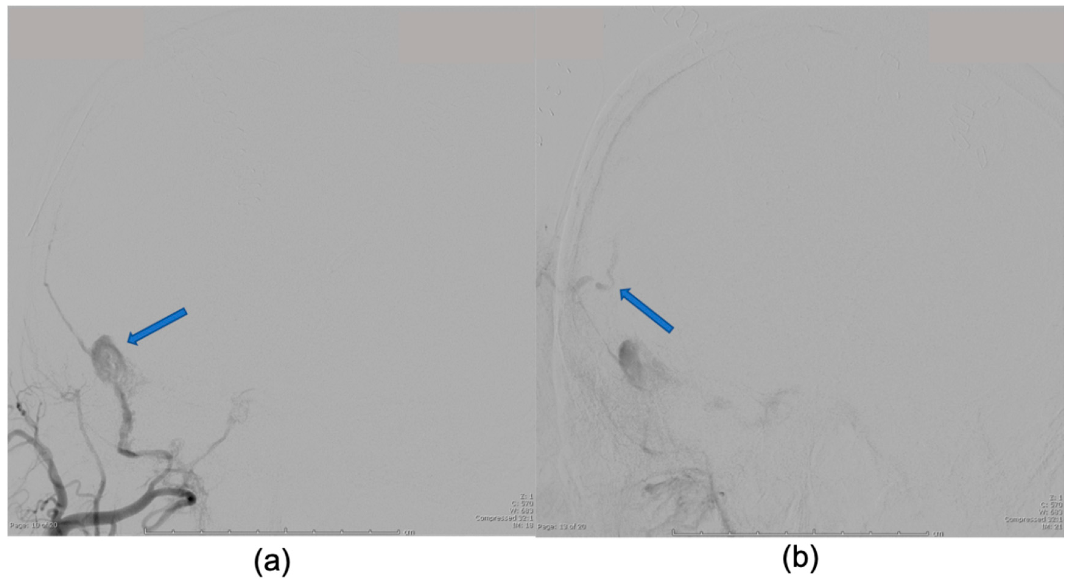 Reports 02 00014 g003