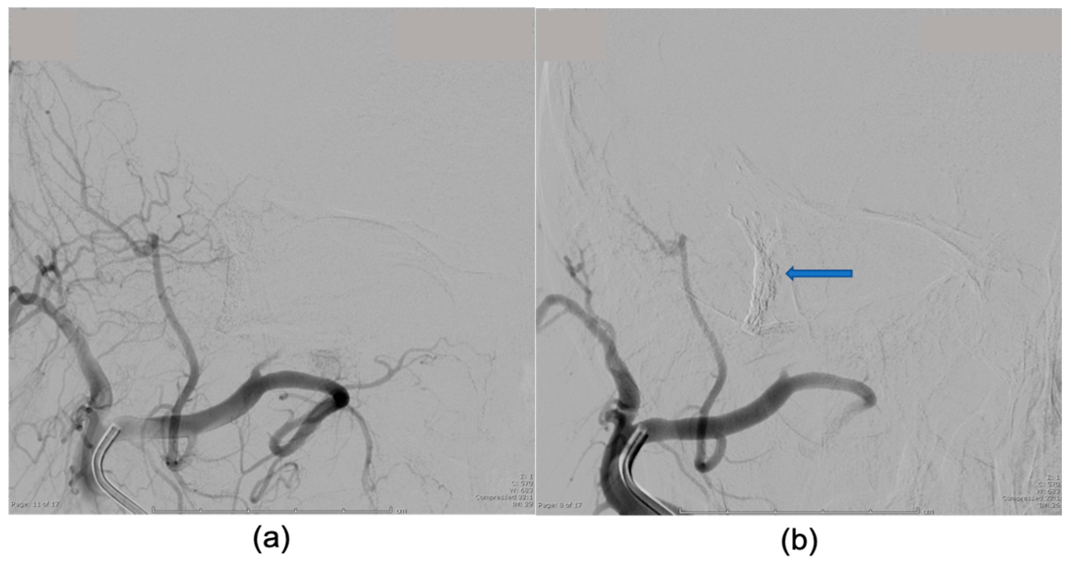 Reports 02 00014 g004