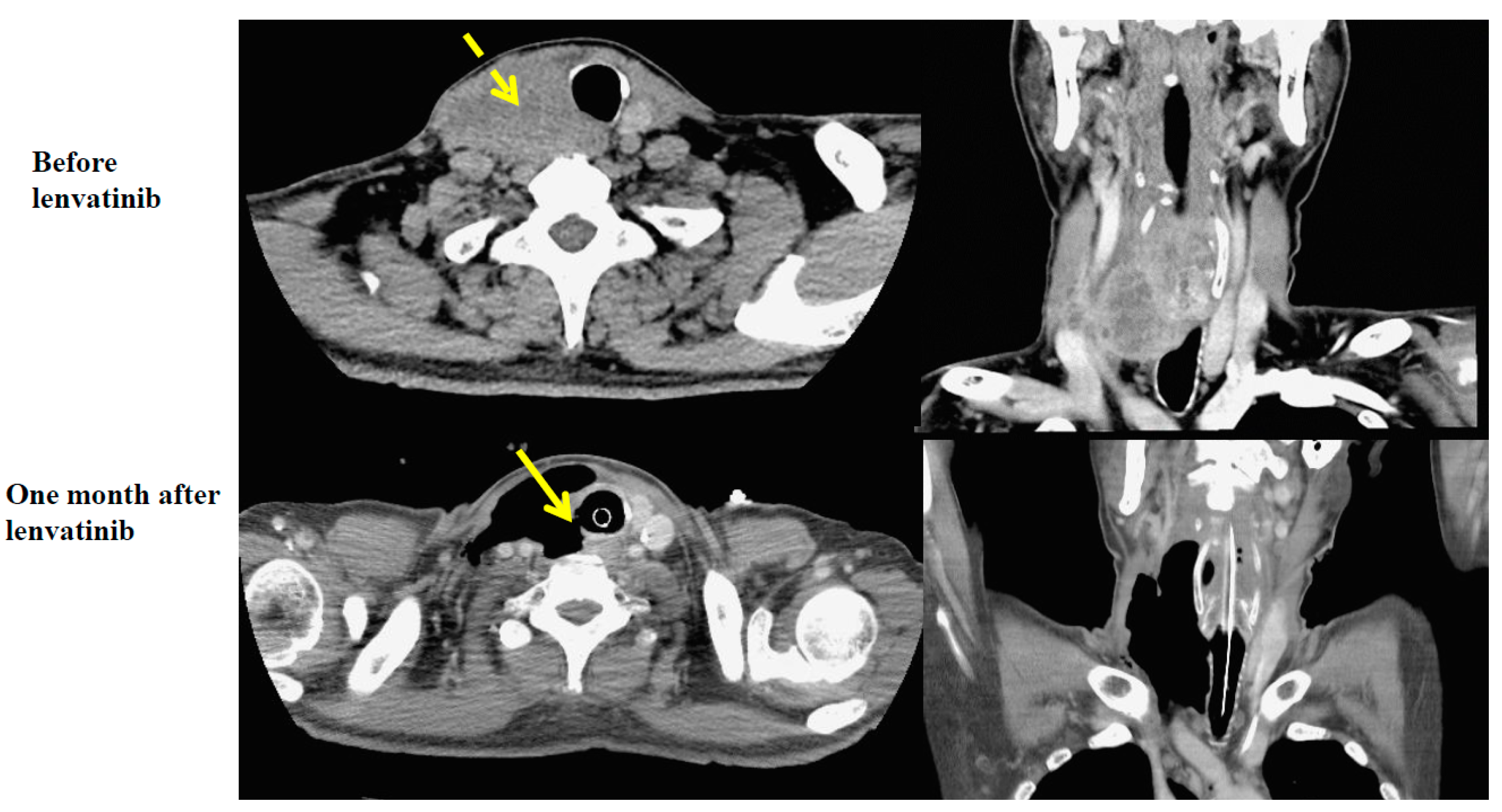 Reports 02 00022 g001