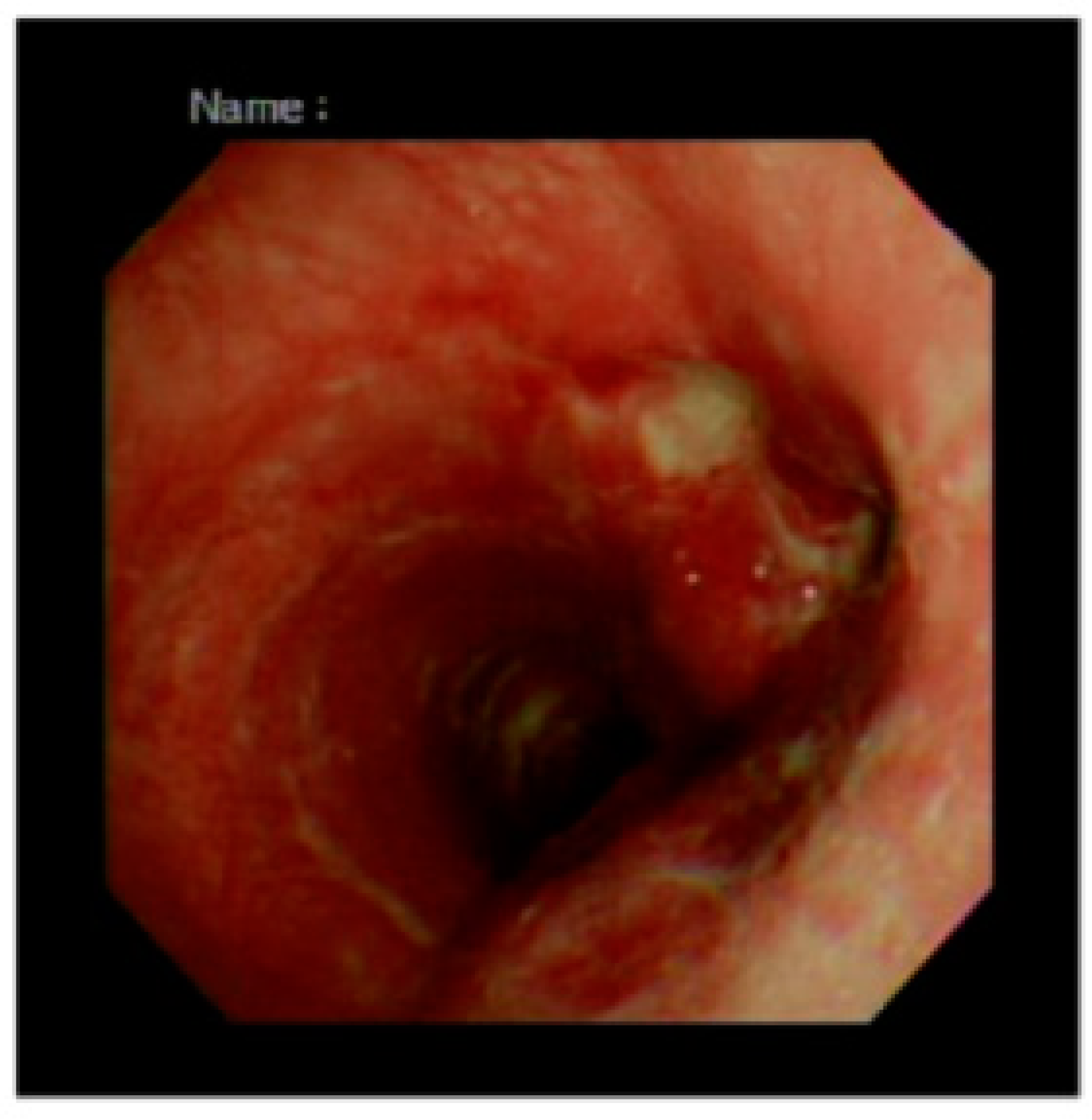 Reports 02 00022 g002