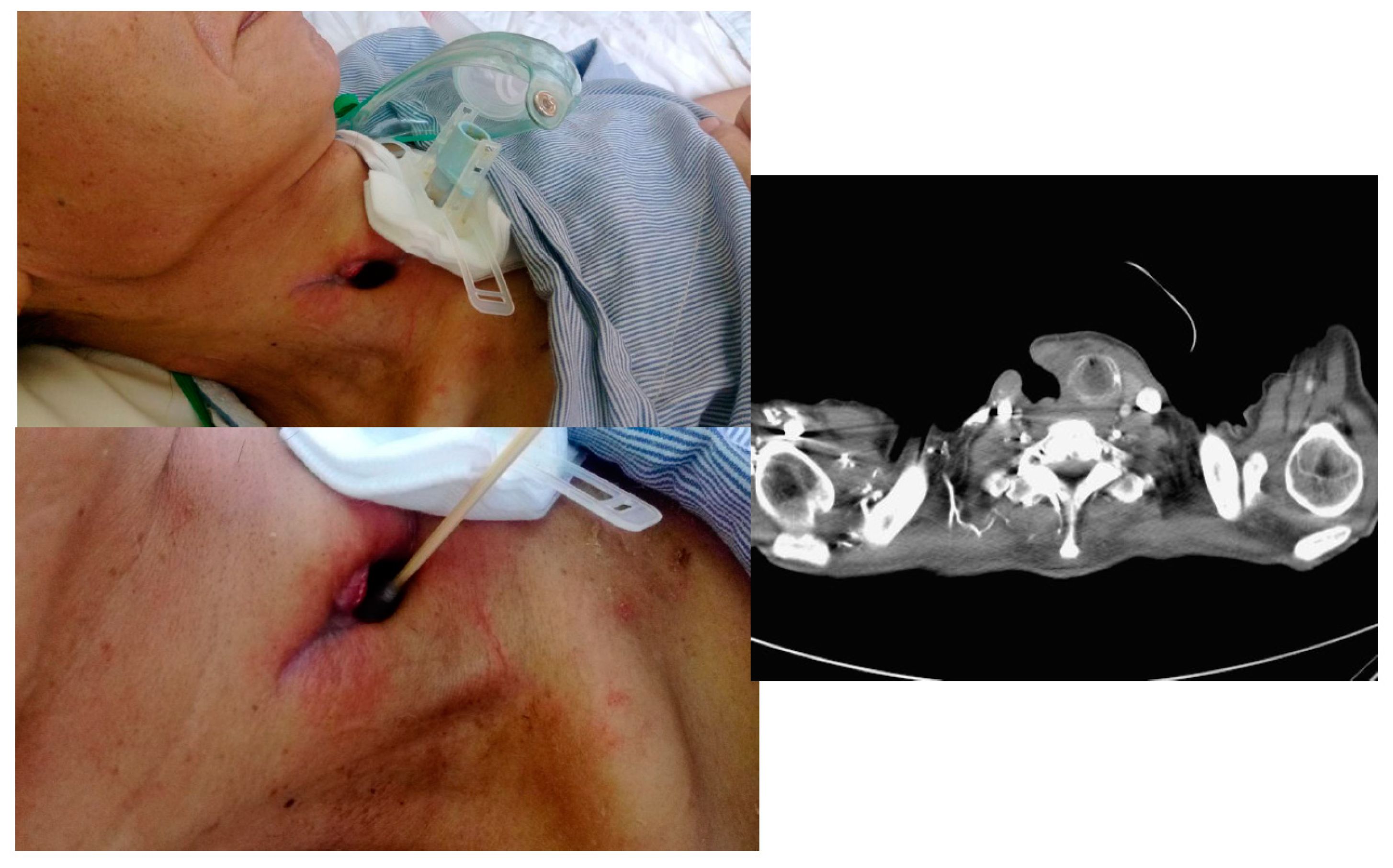 Reports 02 00022 g003