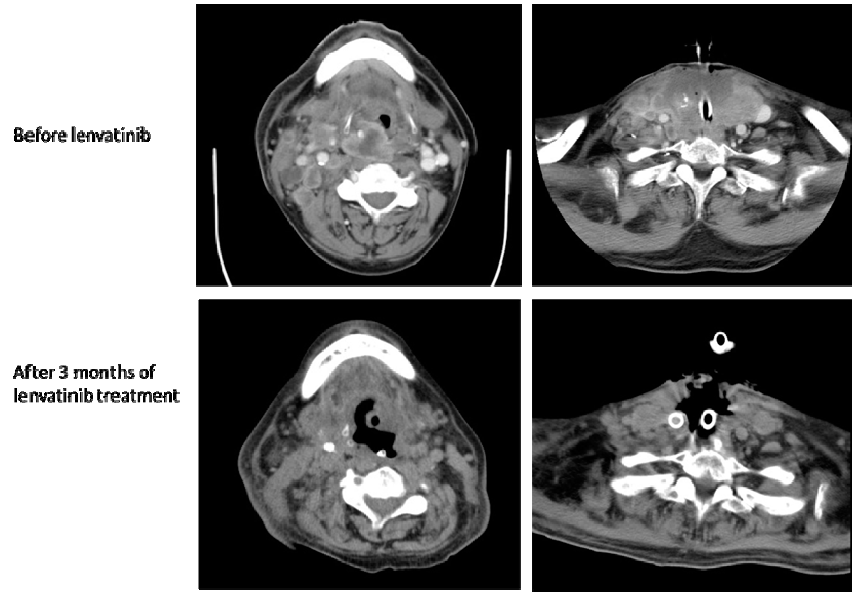 Reports 02 00022 g005