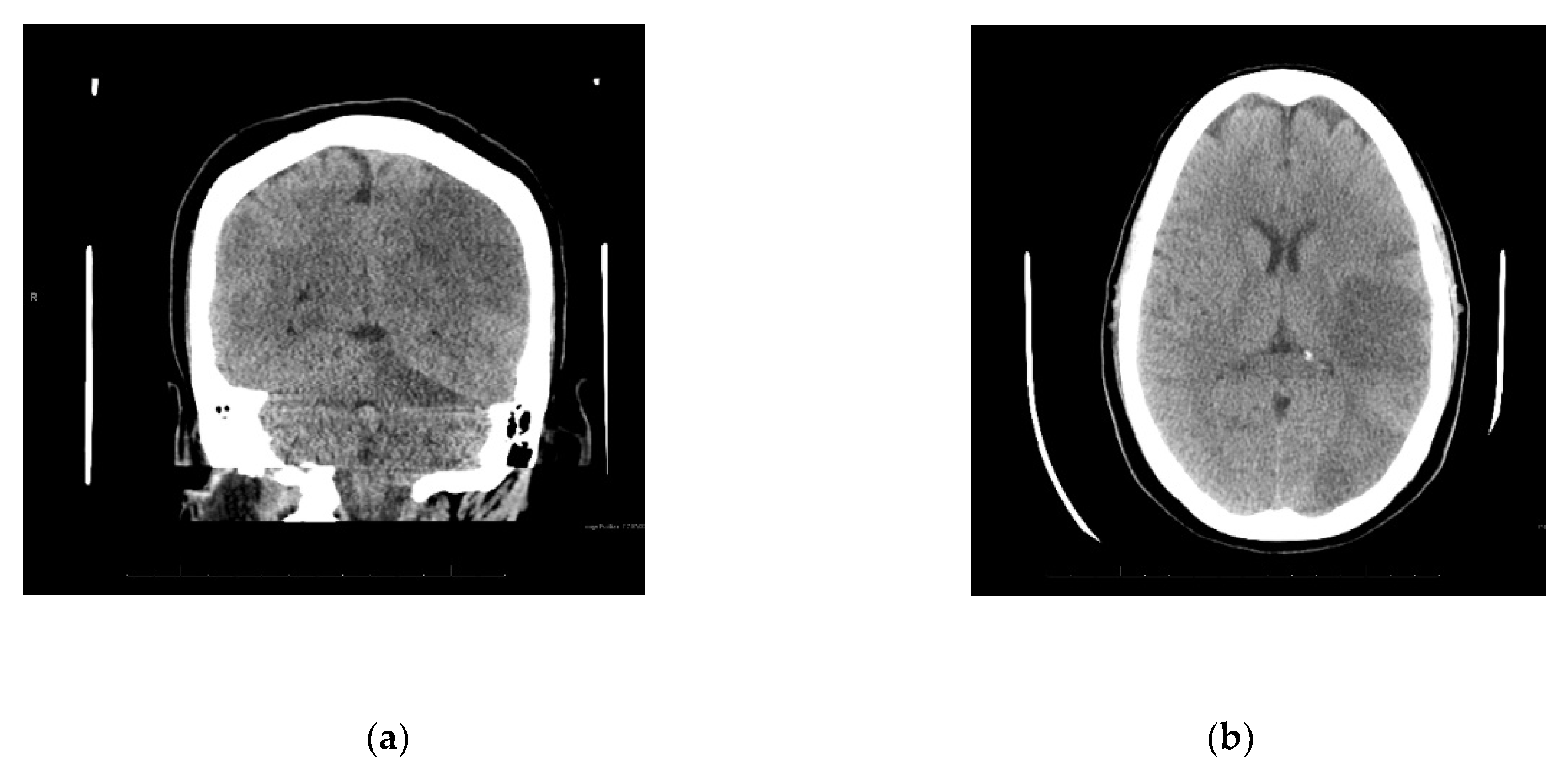 Reports 02 00023 g002