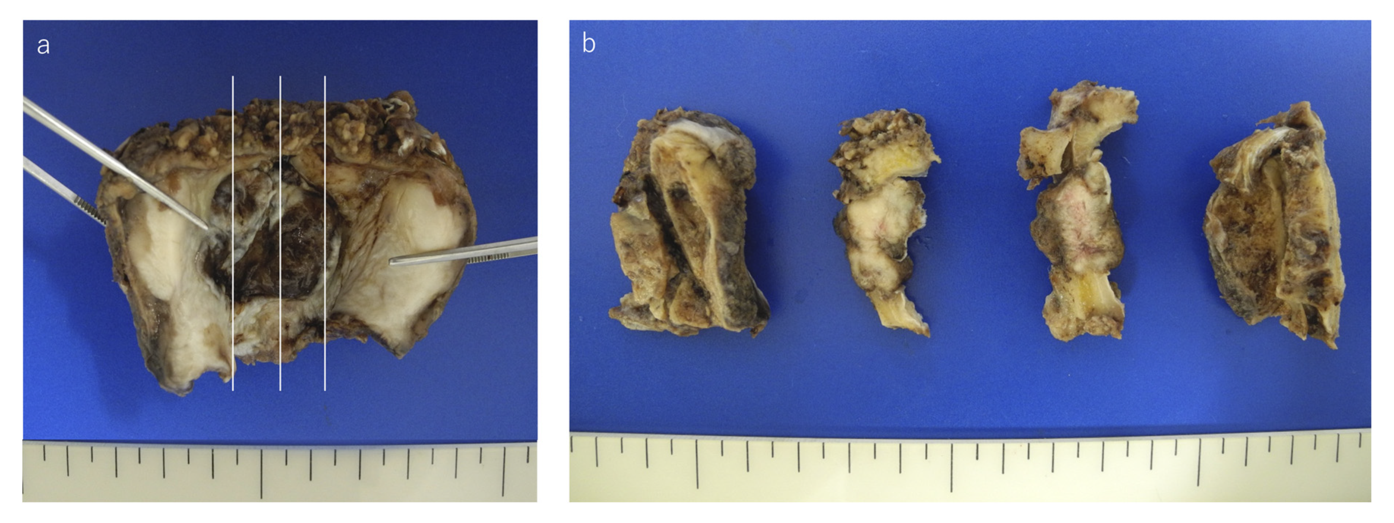 Reports 03 00006 g001