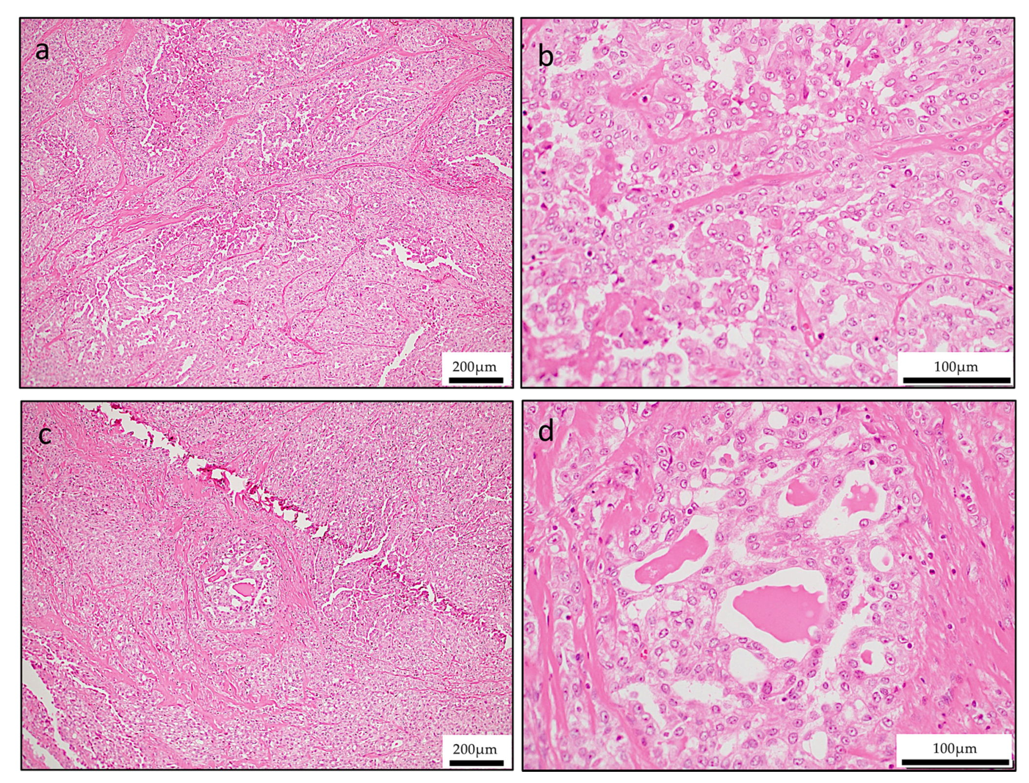 Reports 03 00006 g002