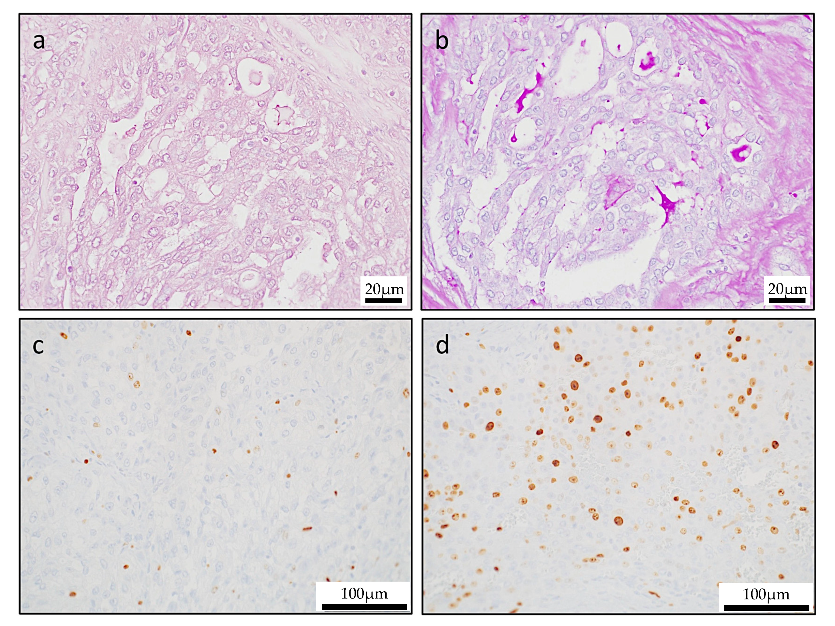 Reports 03 00006 g005