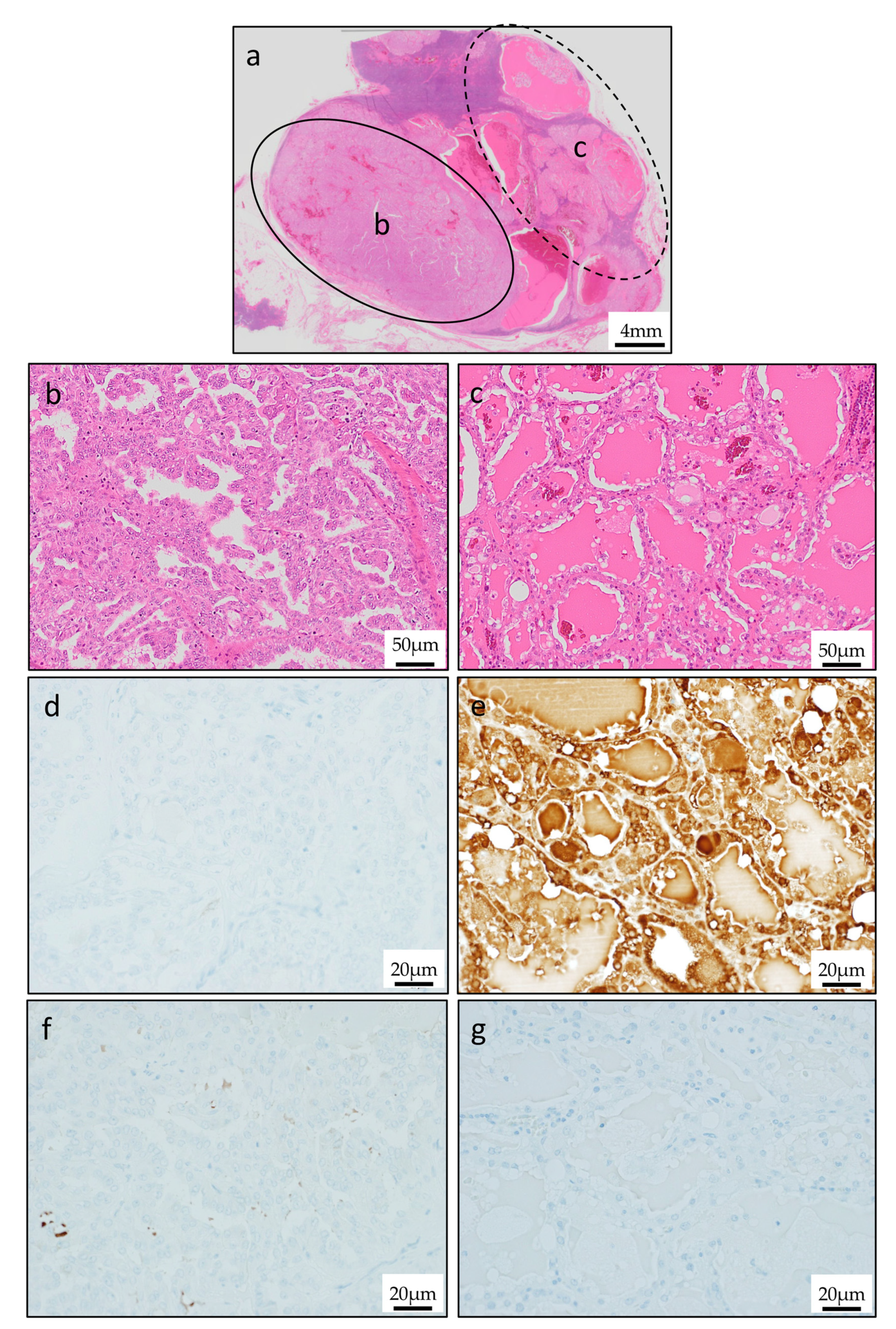 Reports 03 00006 g006