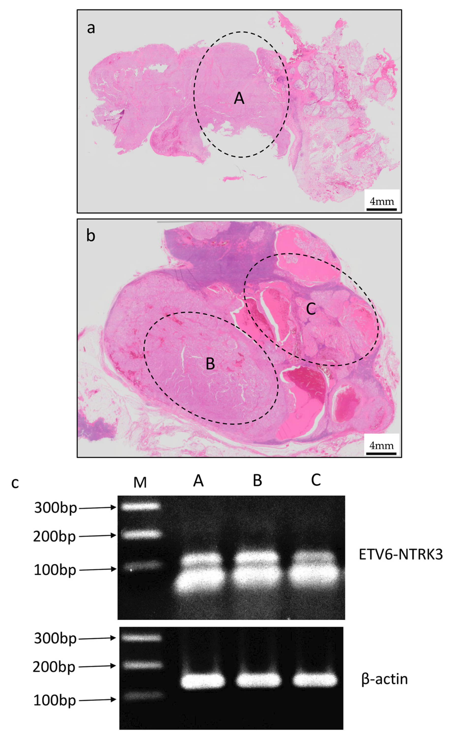 Reports 03 00006 g007