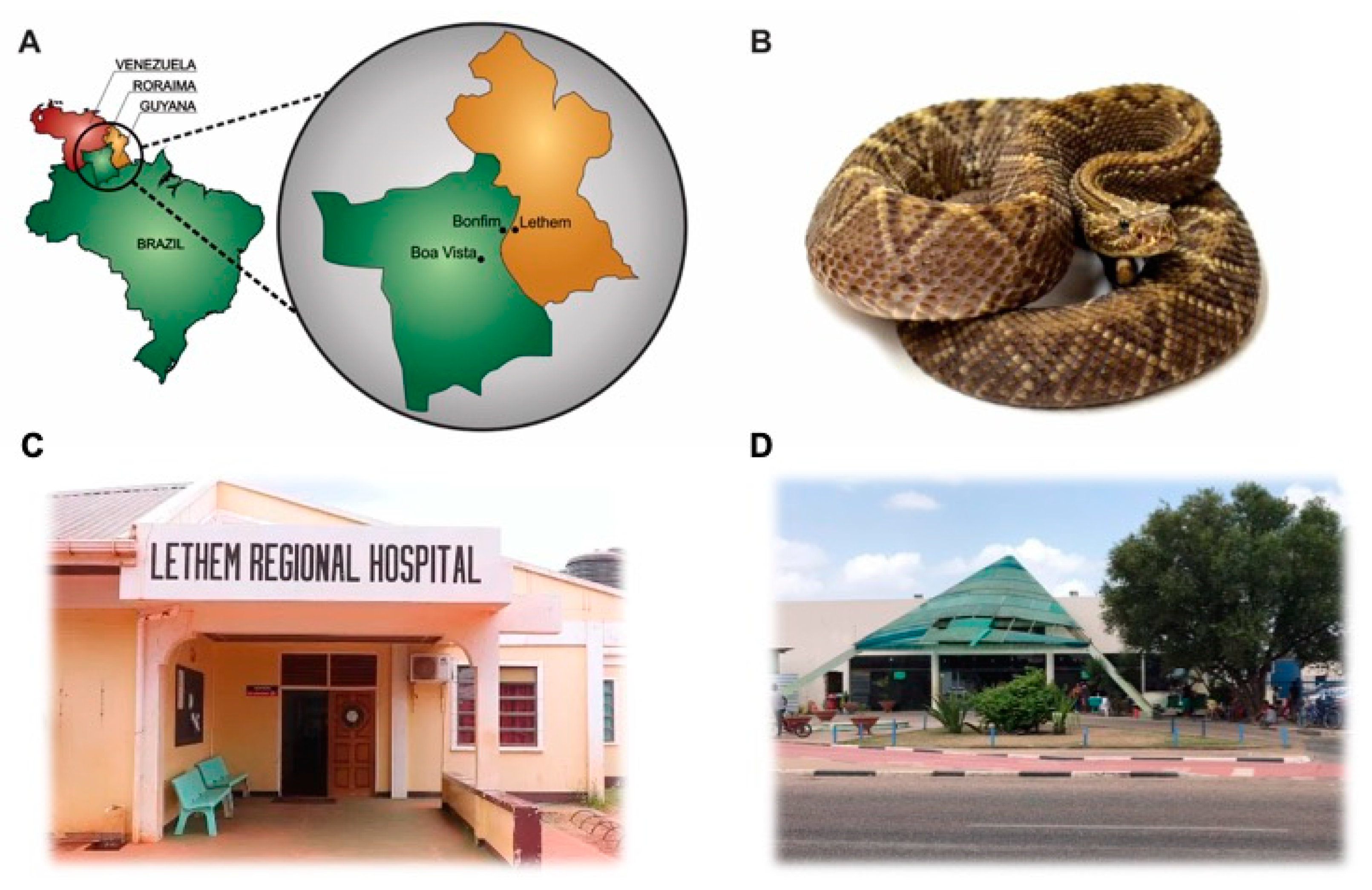 Reports 03 00009 g001