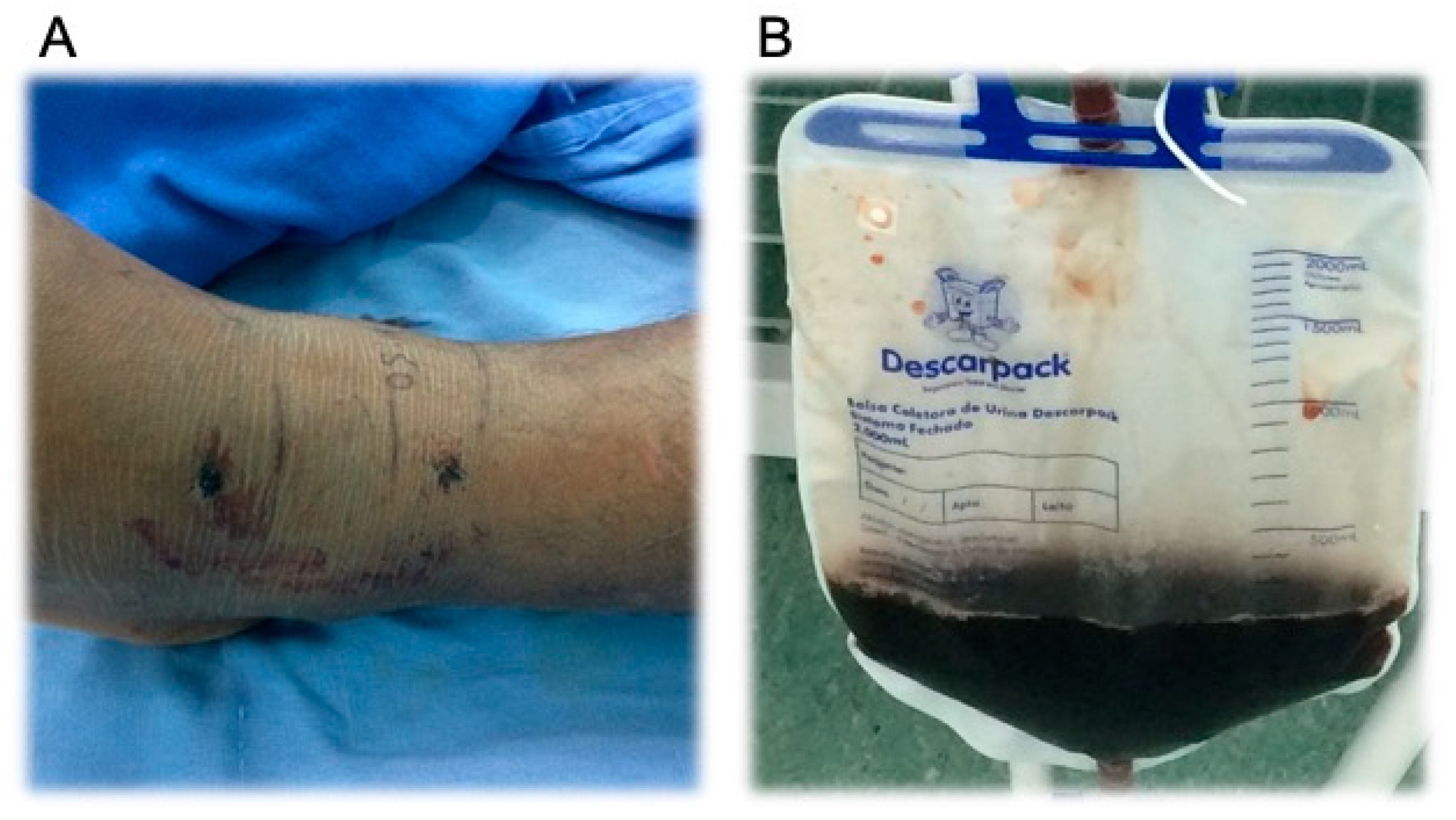 Reports 03 00009 g002