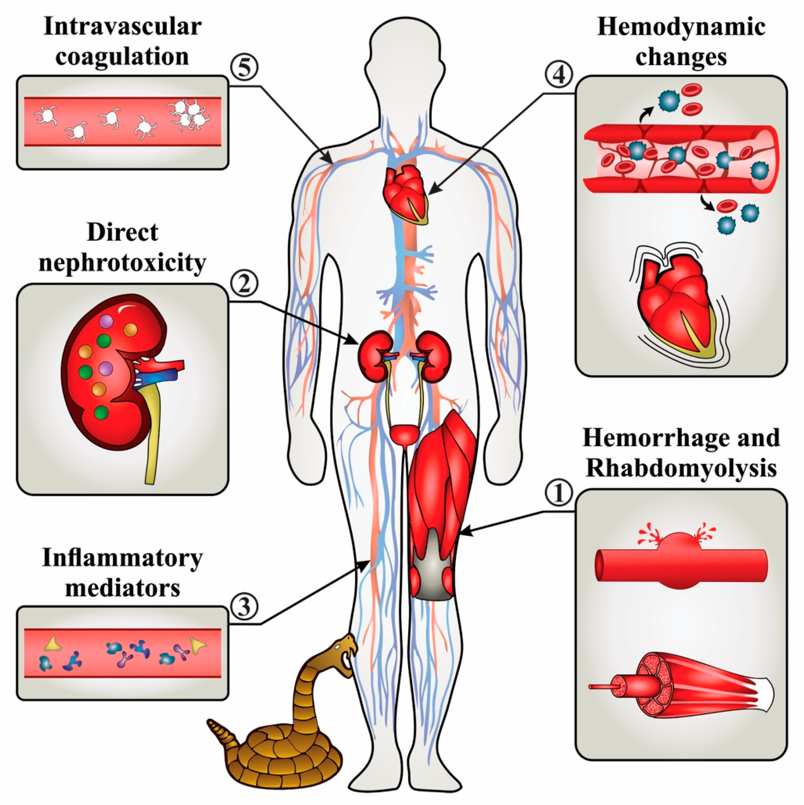 Reports 03 00009 g003
