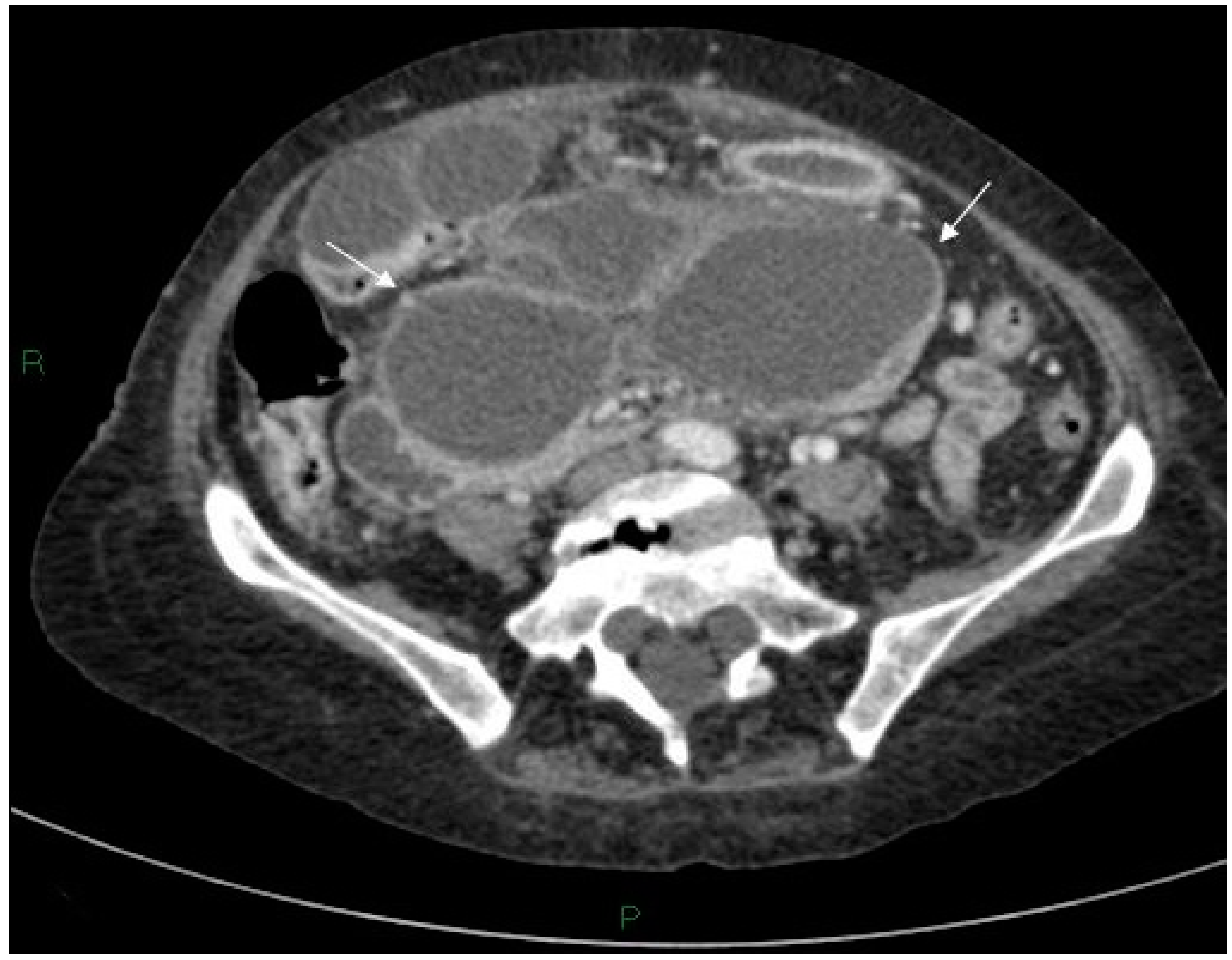 Reports 03 00010 g002