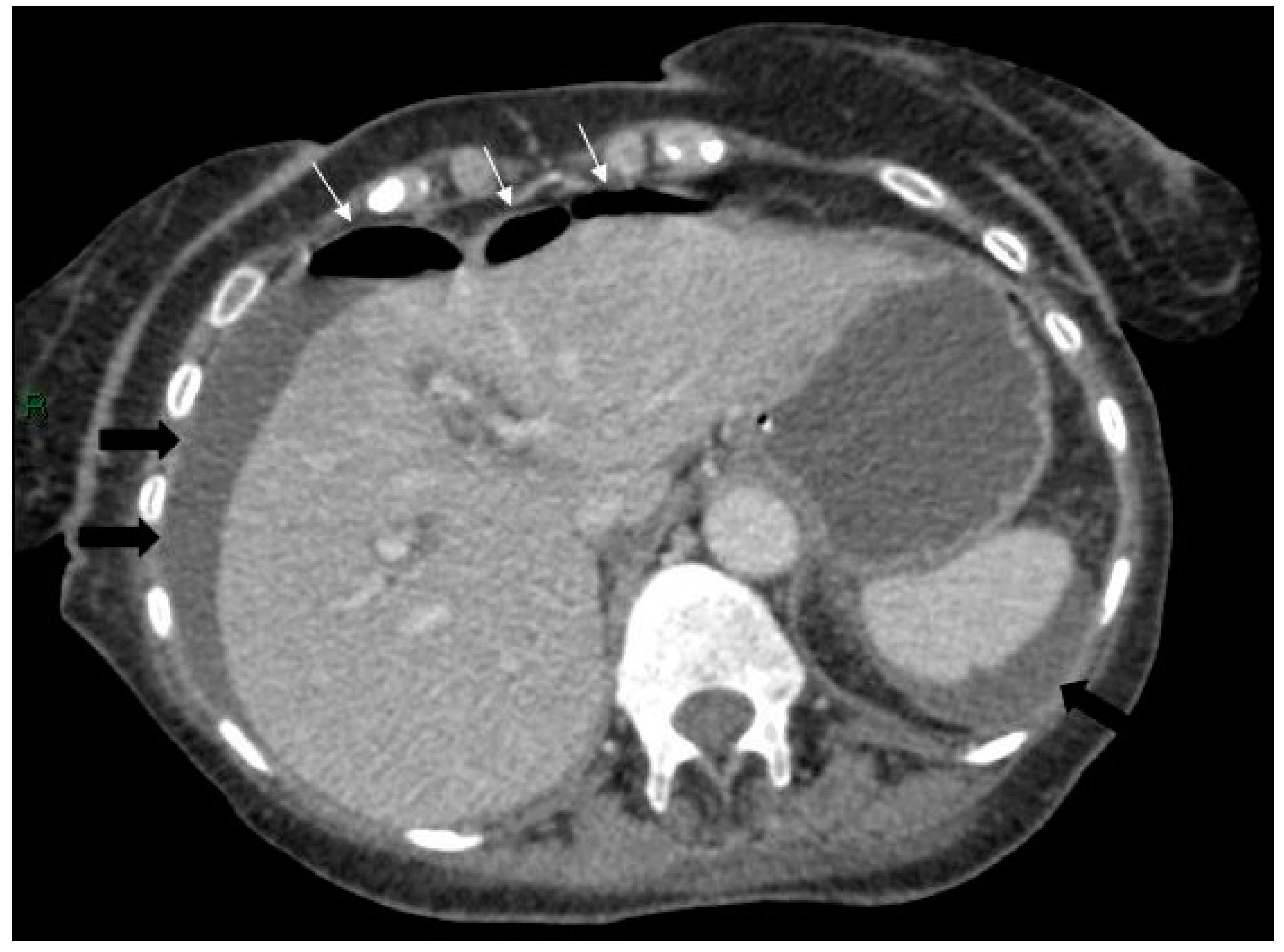 Reports 03 00010 g003