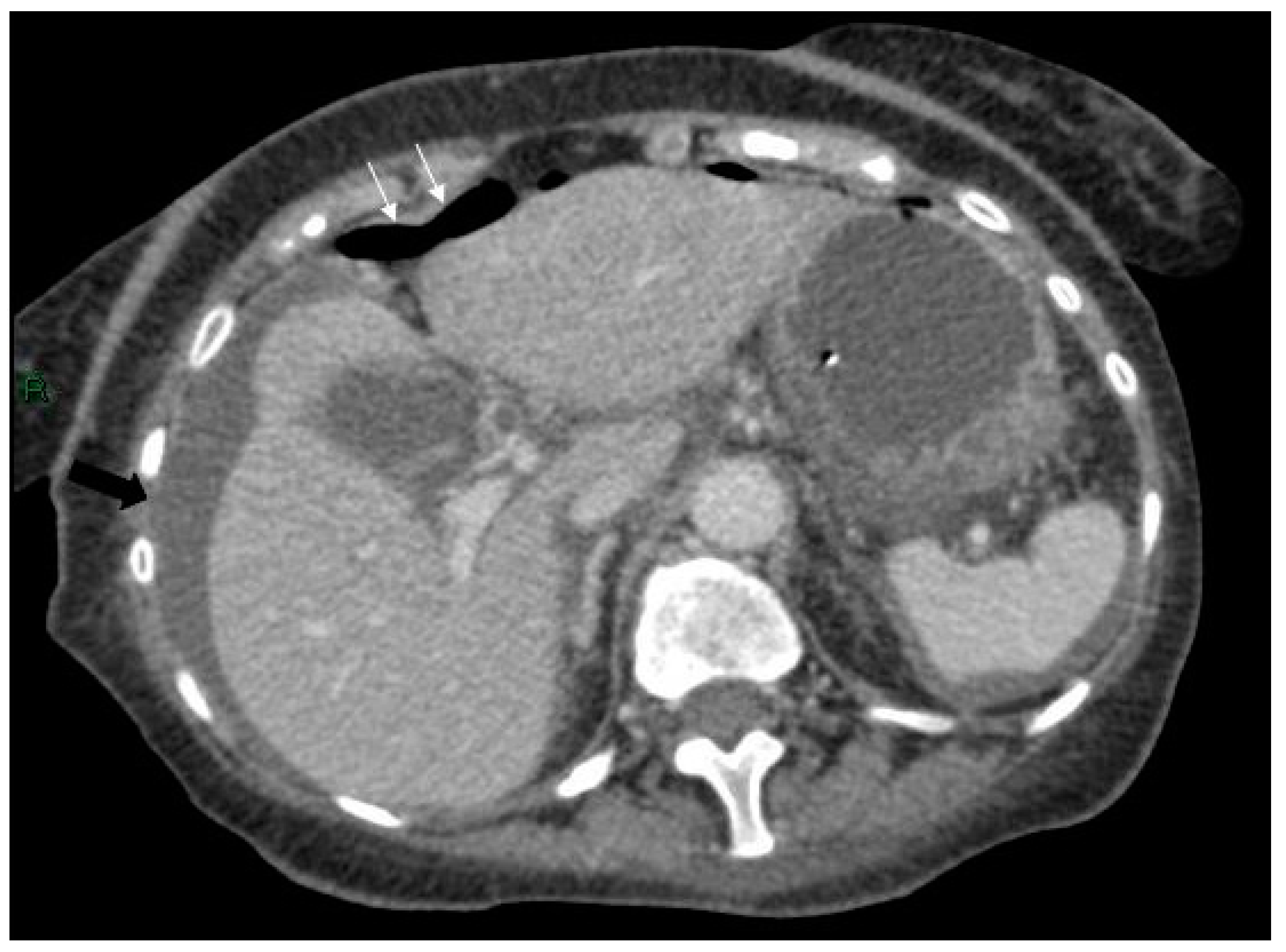 Reports 03 00010 g004