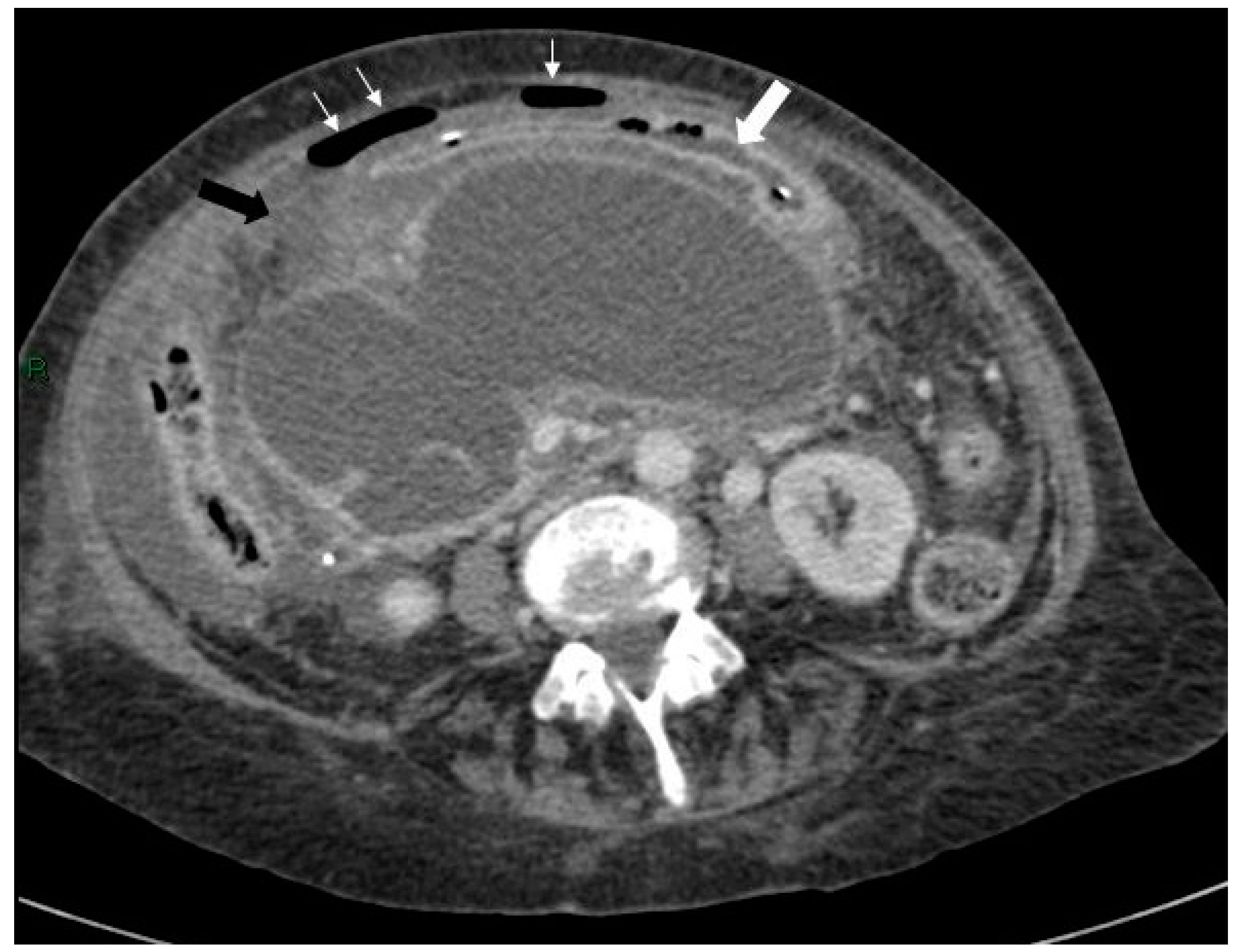 Reports 03 00010 g005