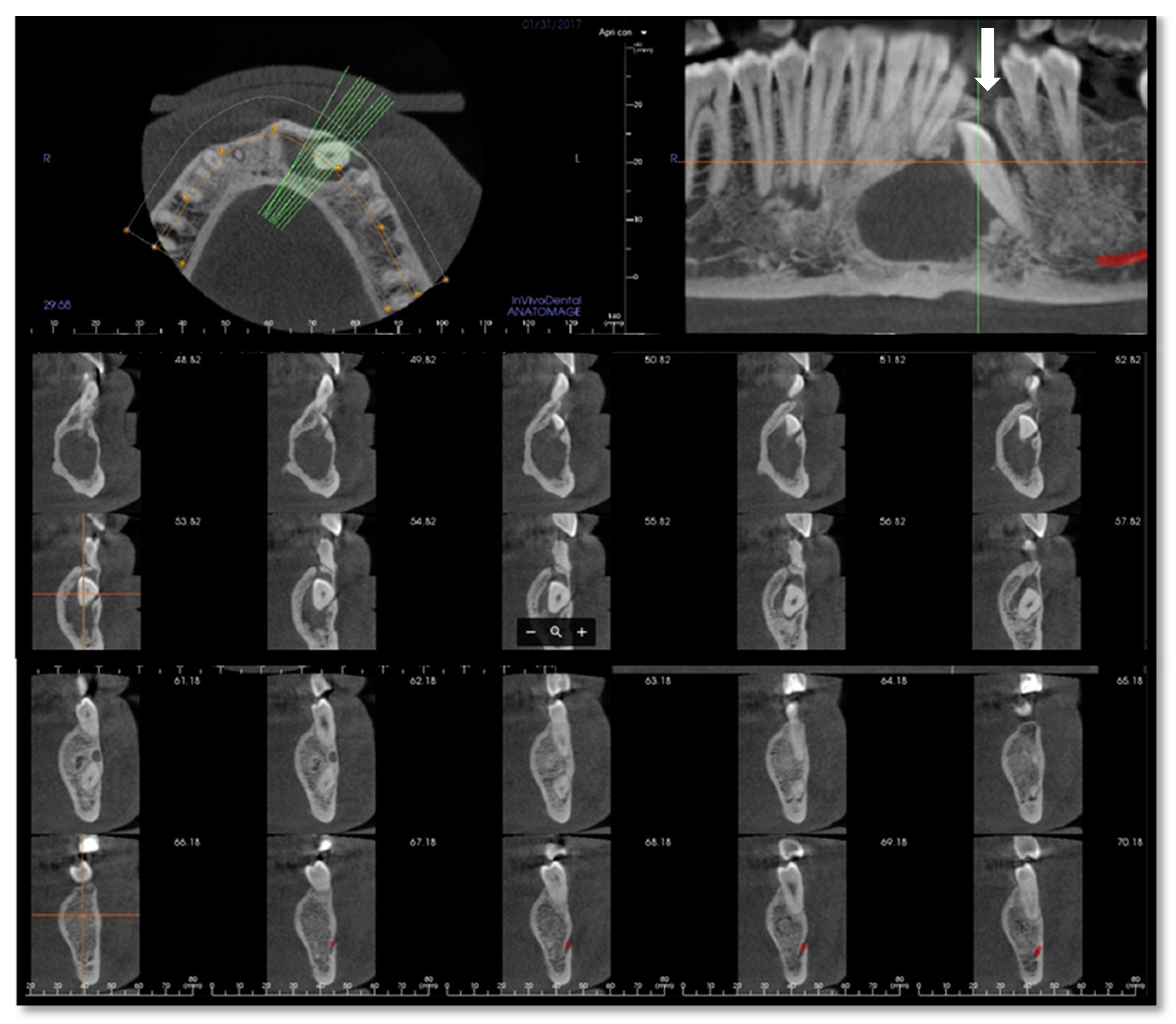 Reports 03 00012 g002