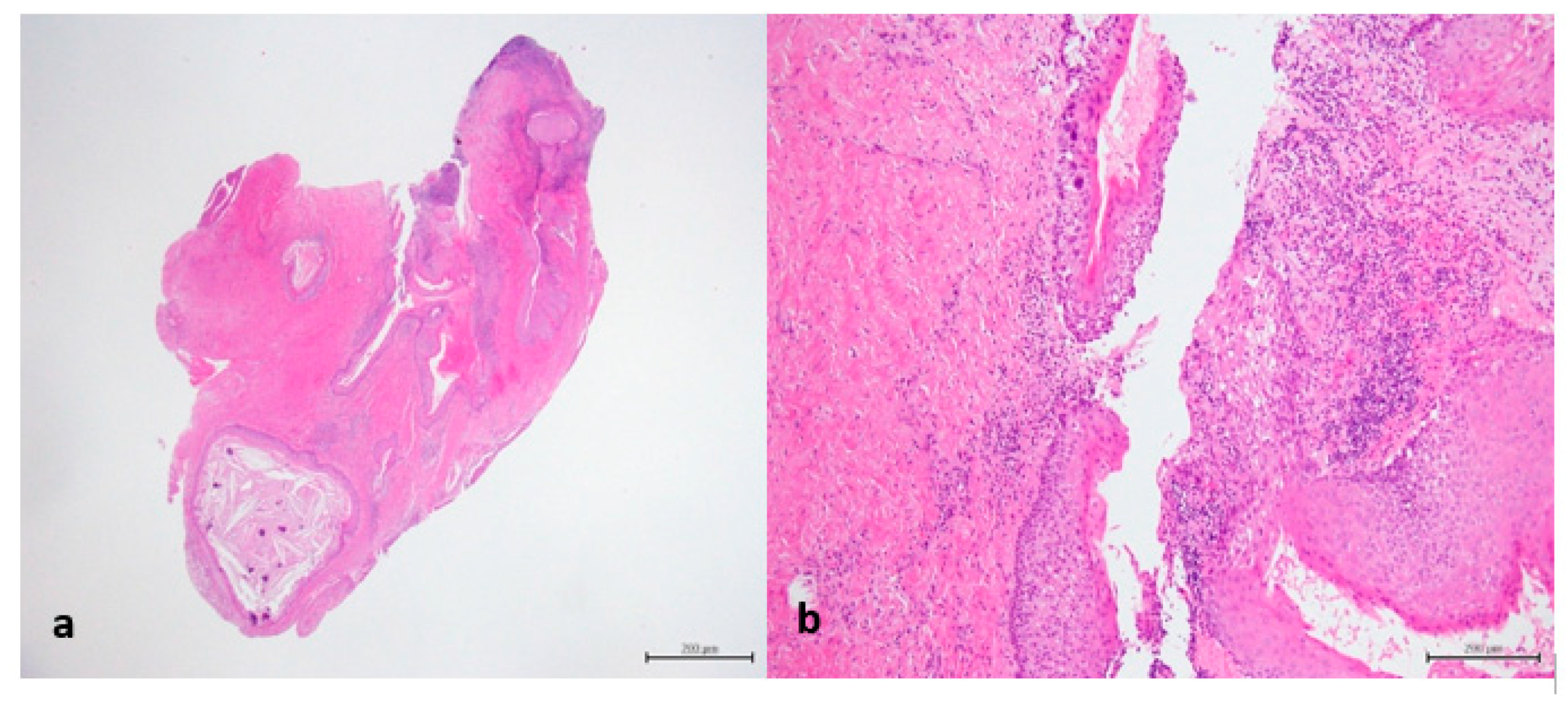 Reports 03 00012 g005